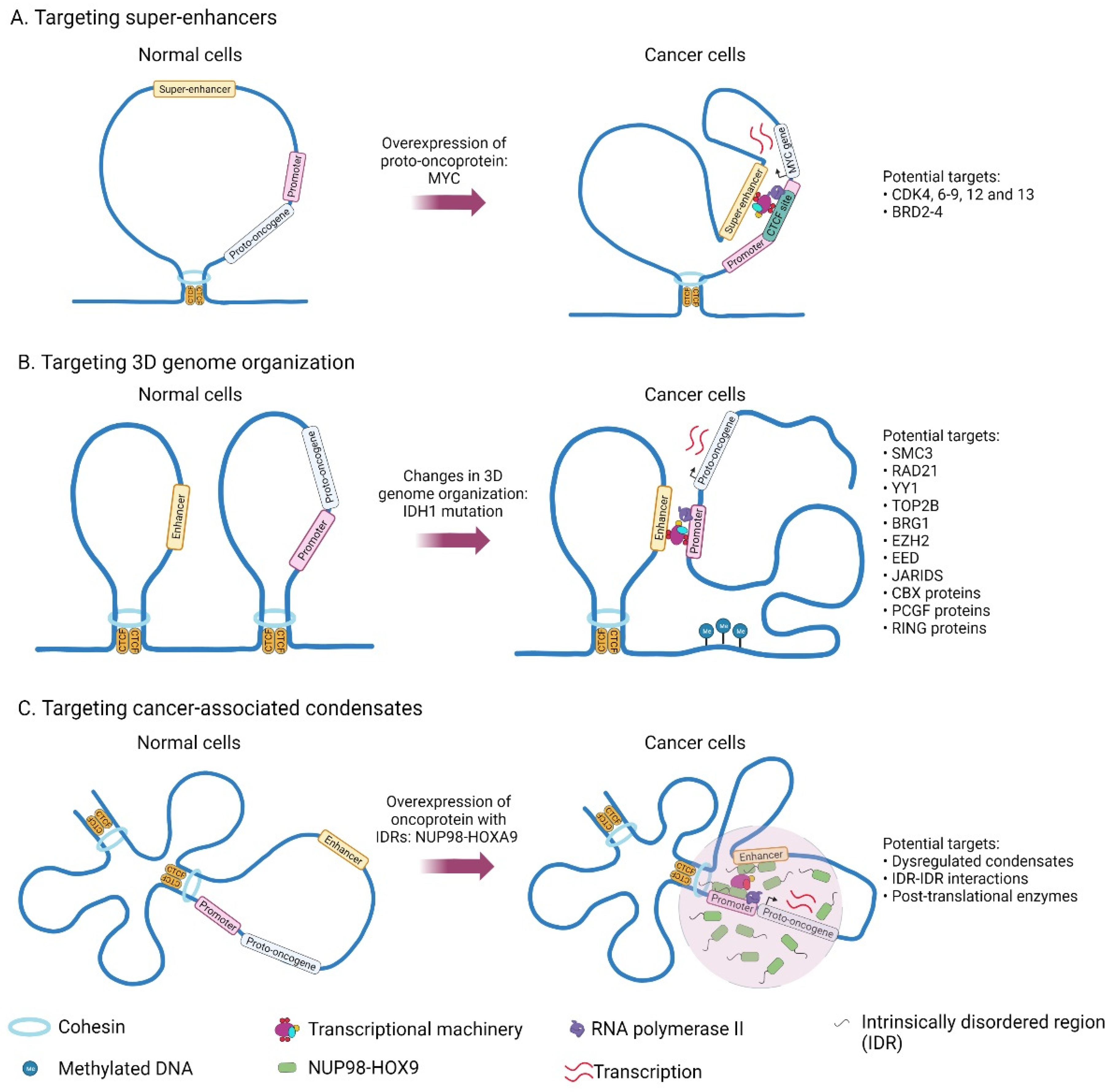 Cancers 14 02866 g002