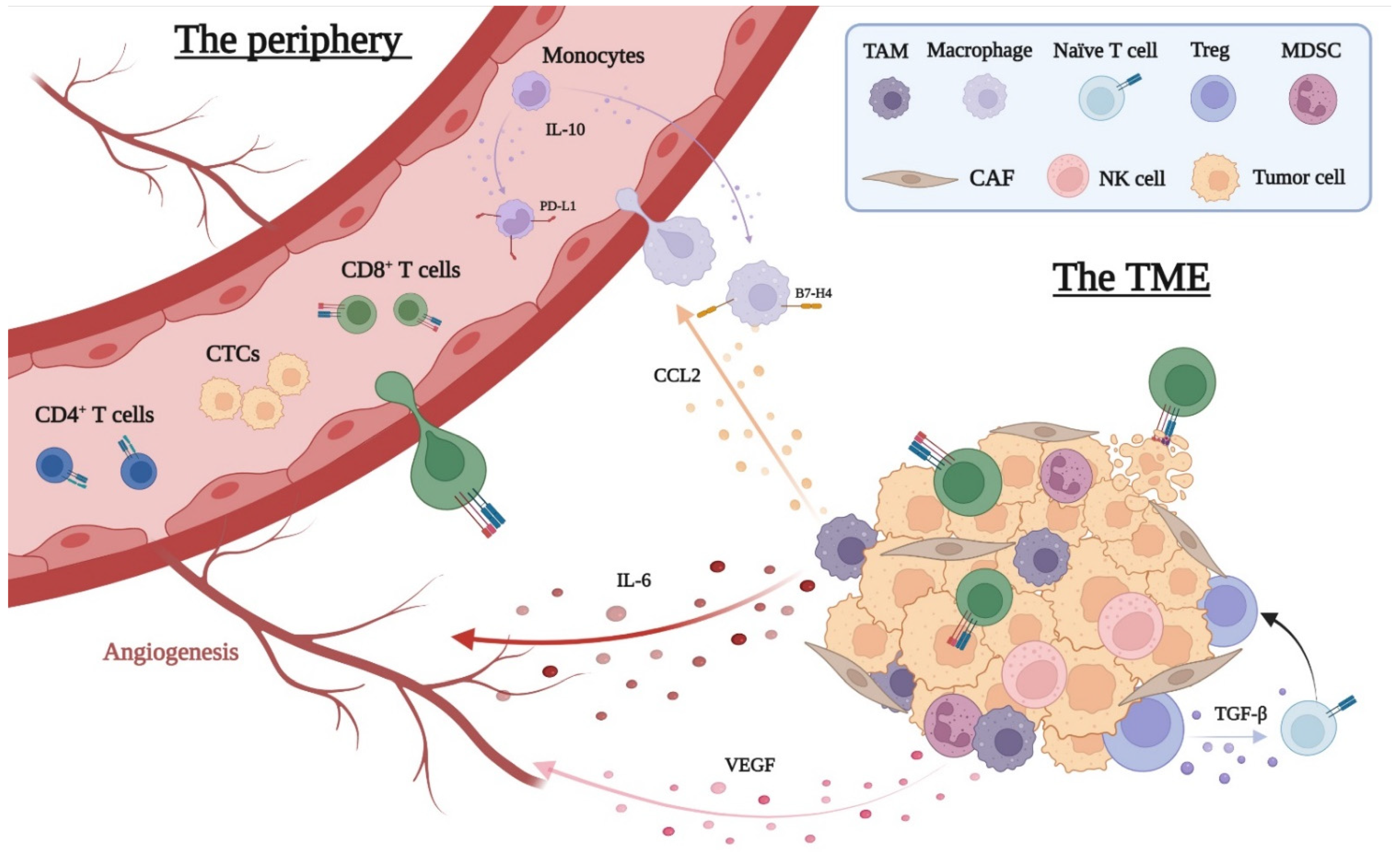 Cancers 14 02876 g002