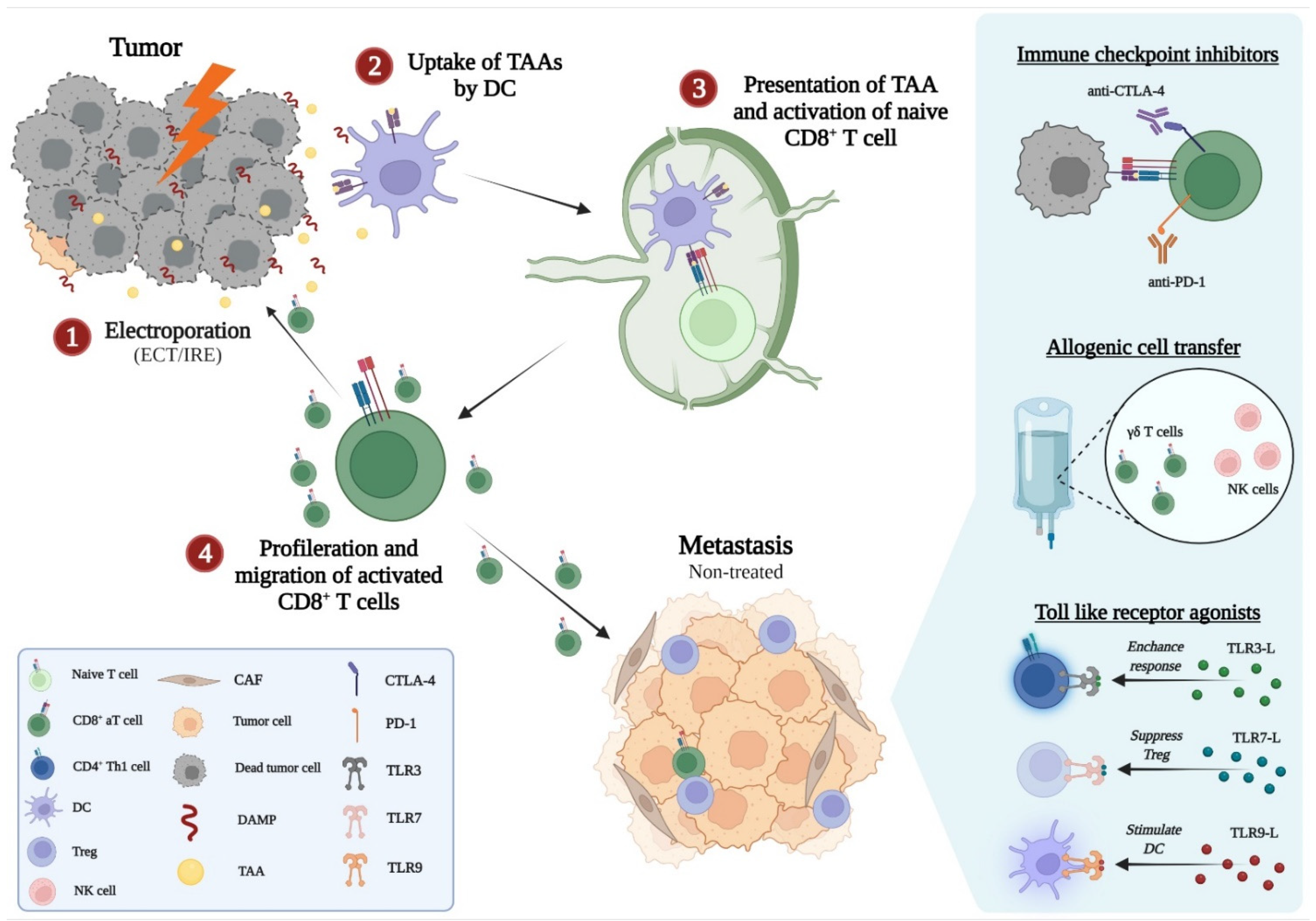 Cancers 14 02876 g003