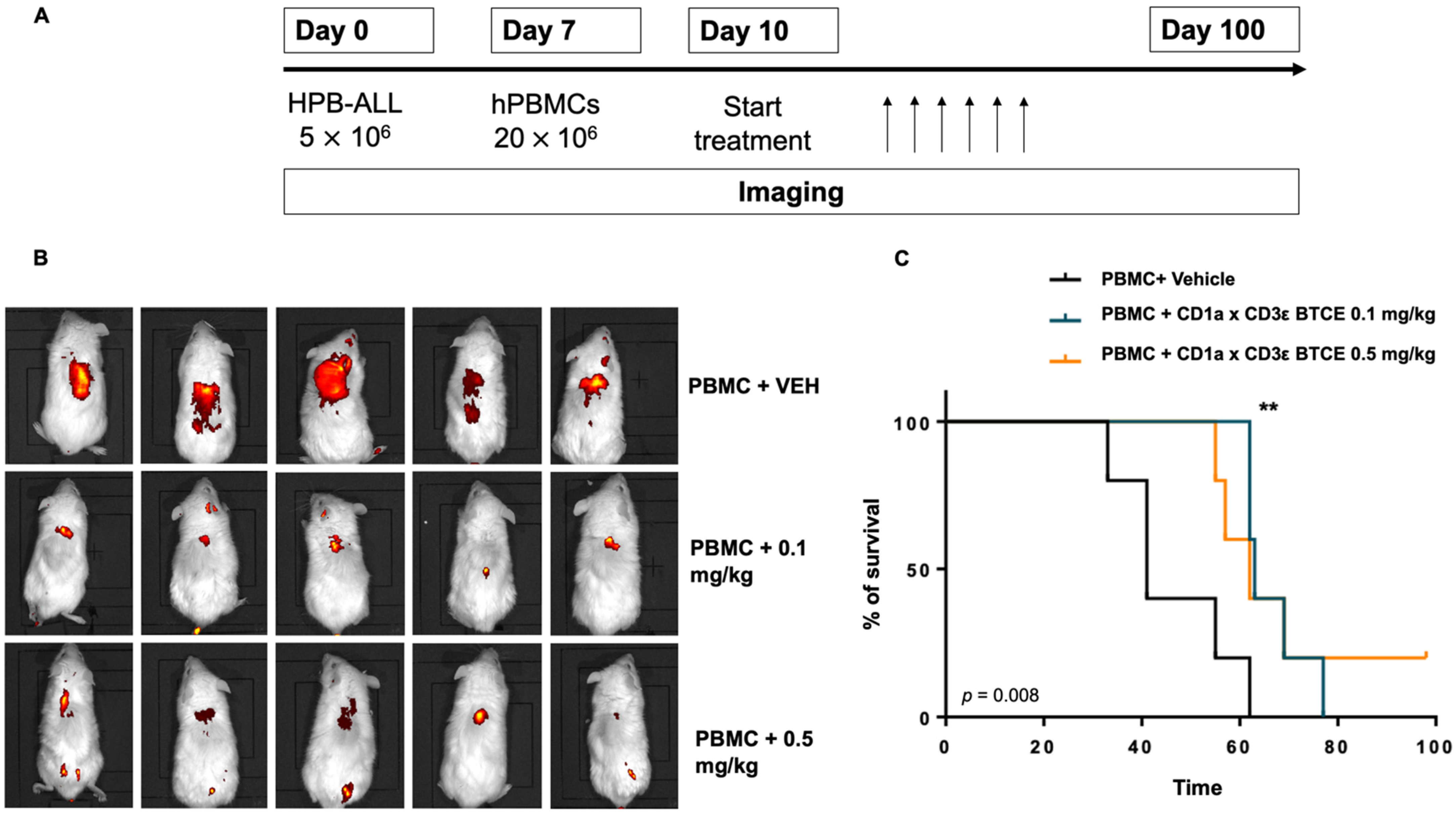 Cancers 14 02886 g005