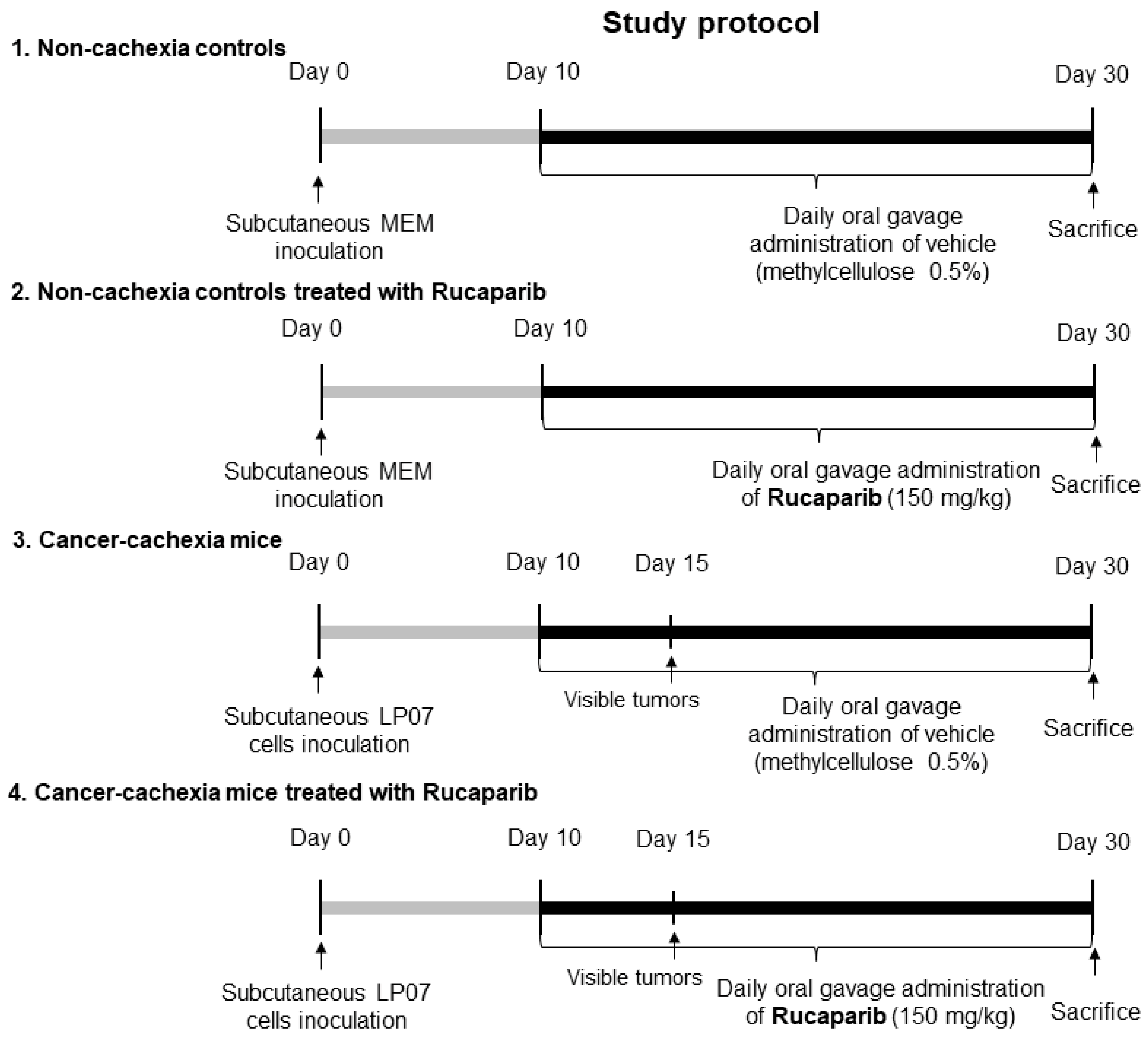Cancers 14 02894 g001