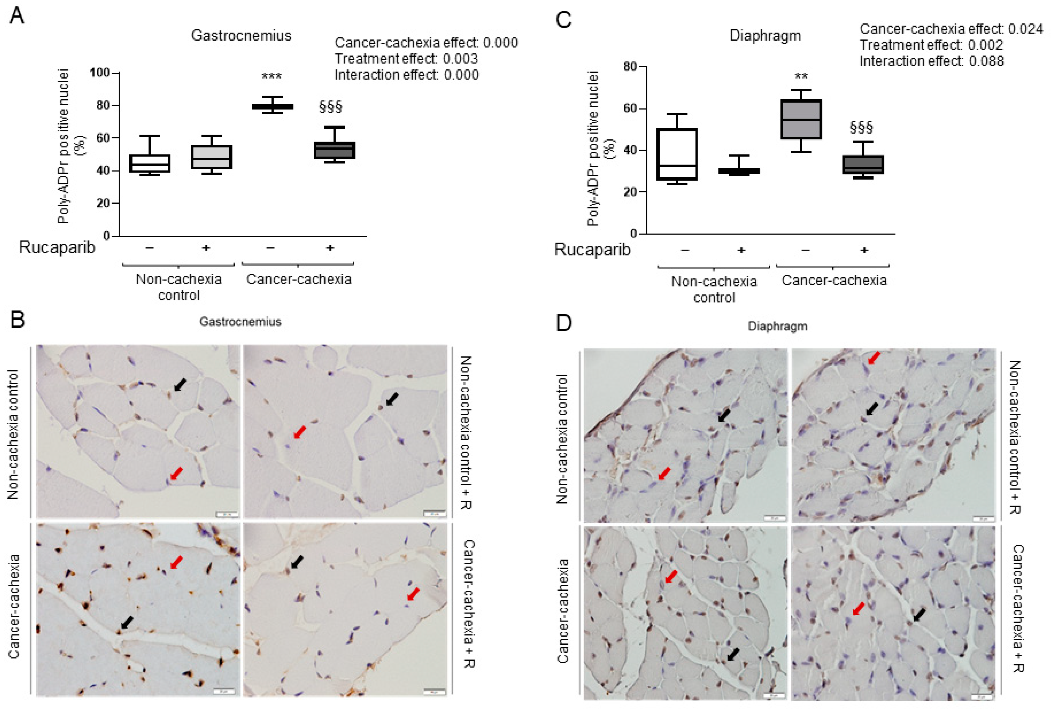 Cancers 14 02894 g002