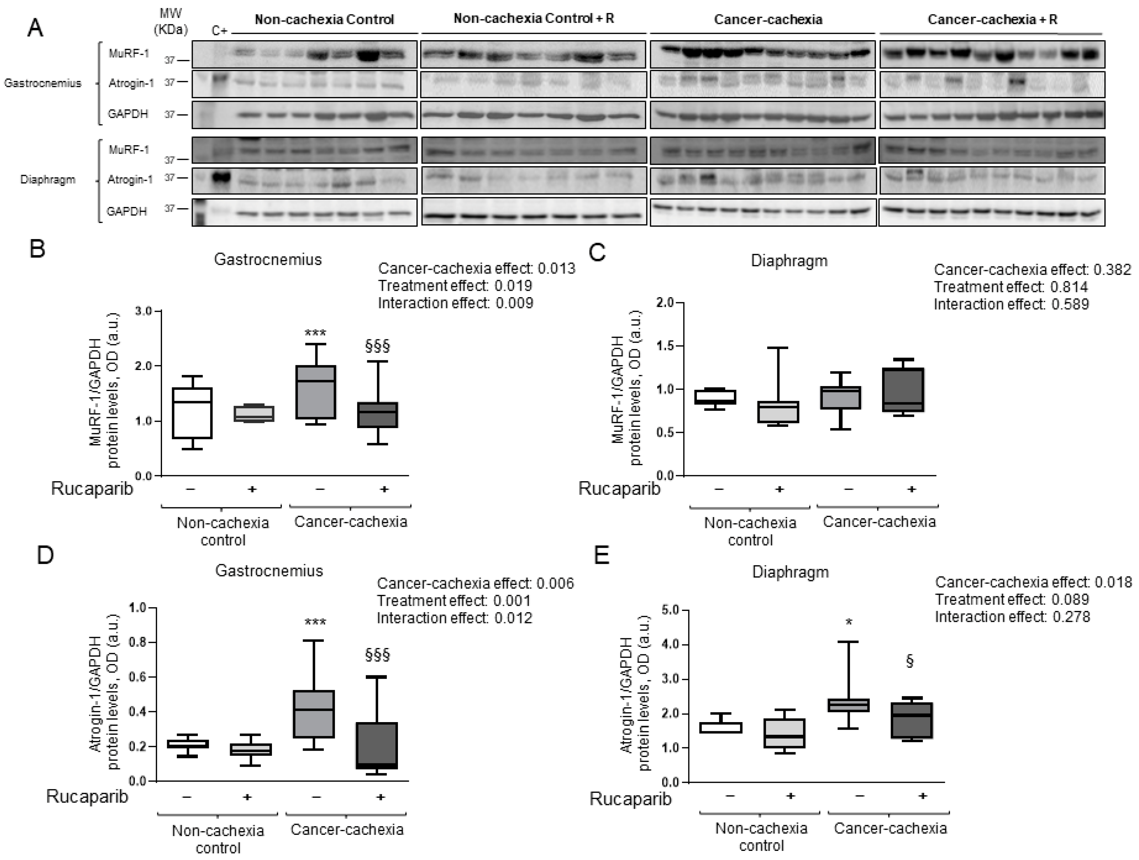 Cancers 14 02894 g006