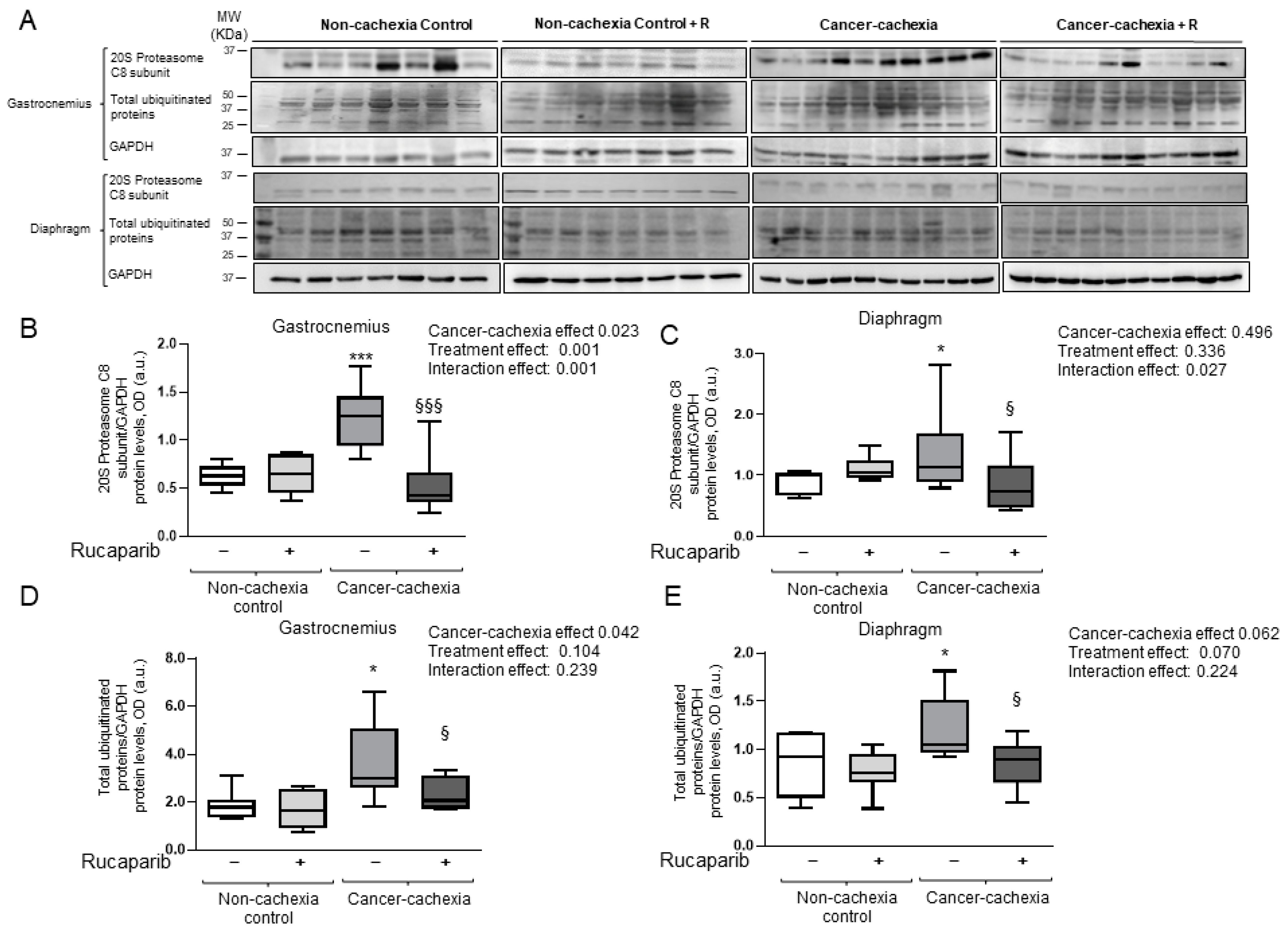 Cancers 14 02894 g007