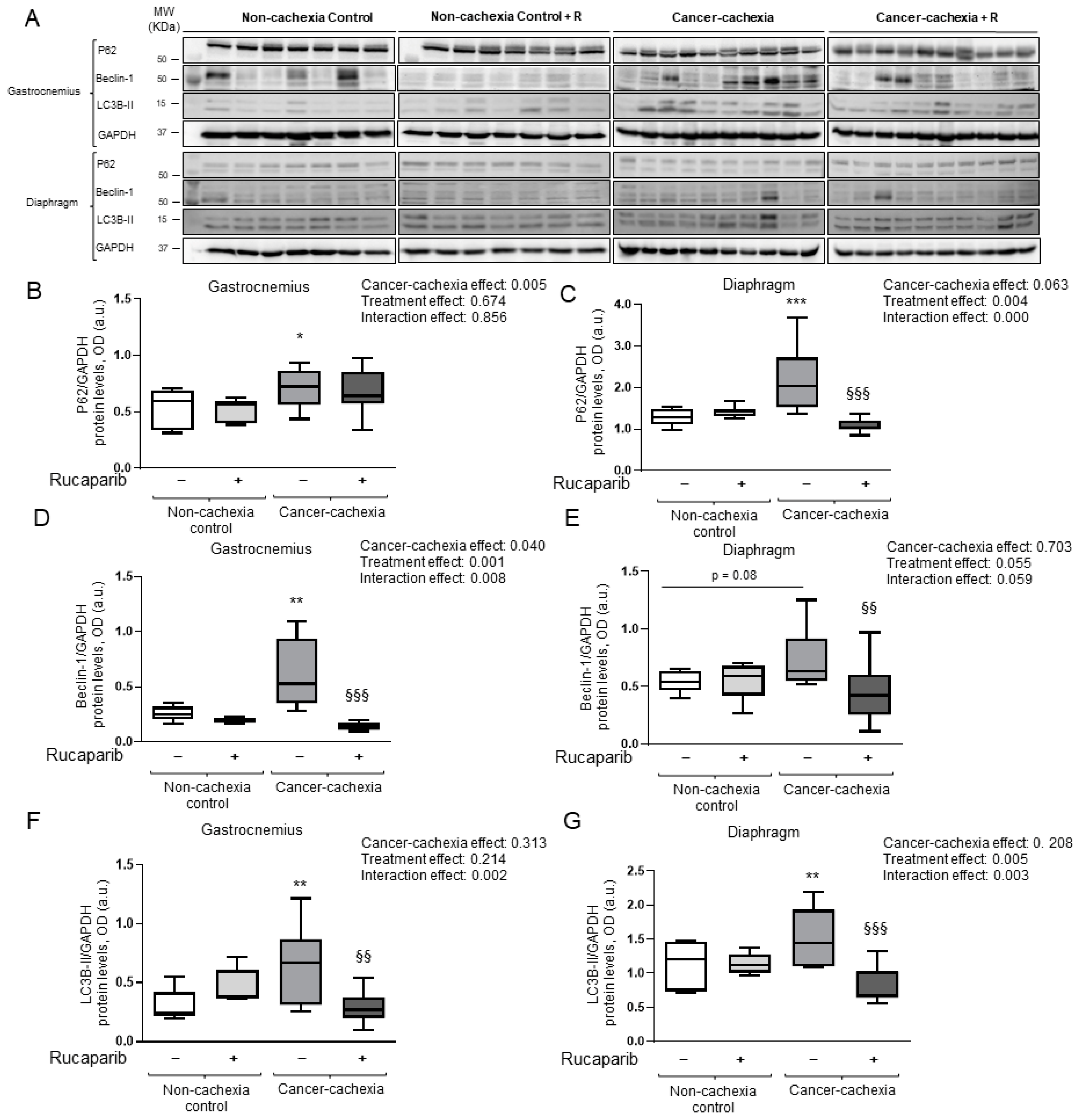 Cancers 14 02894 g008