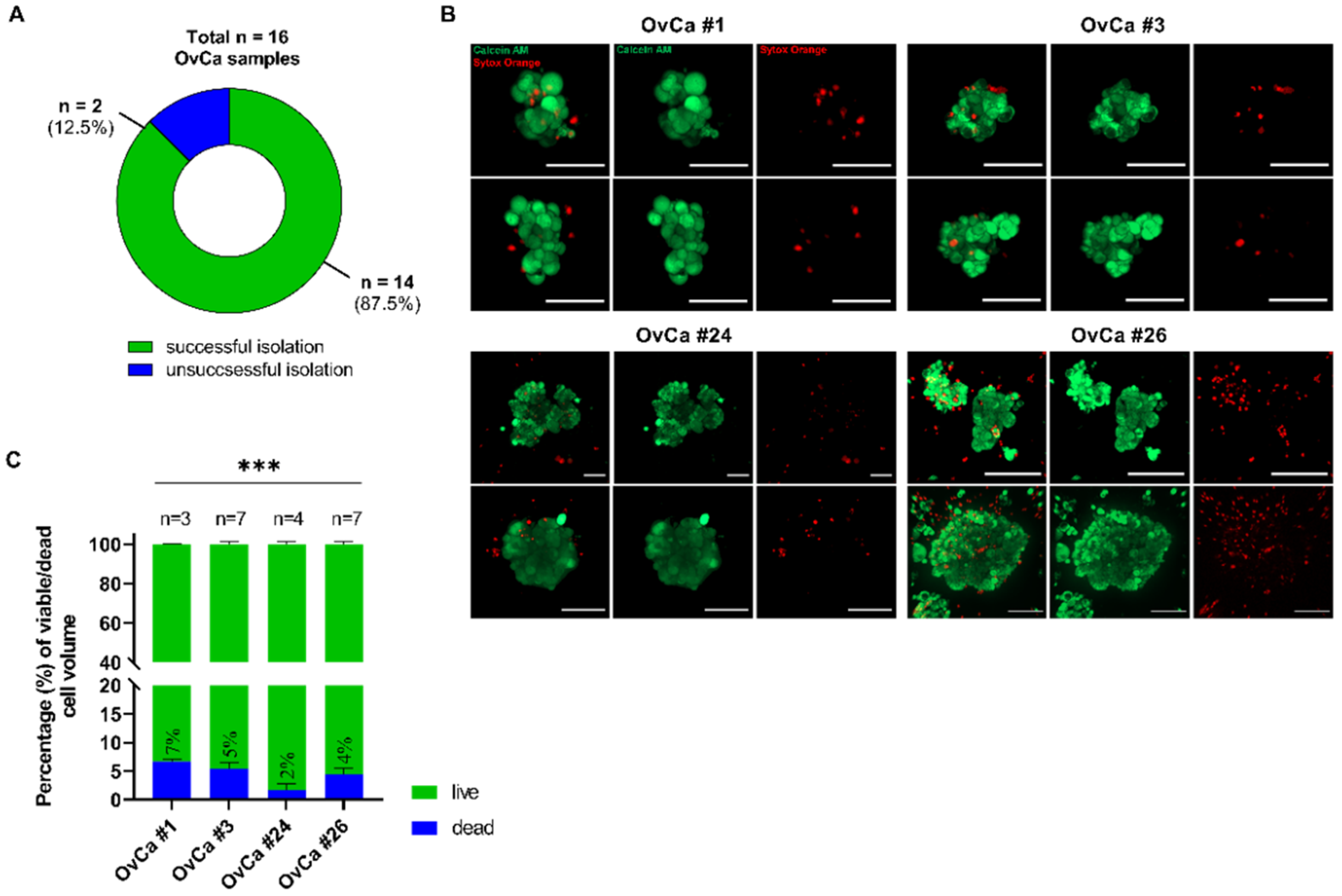 Cancers 14 02895 g001
