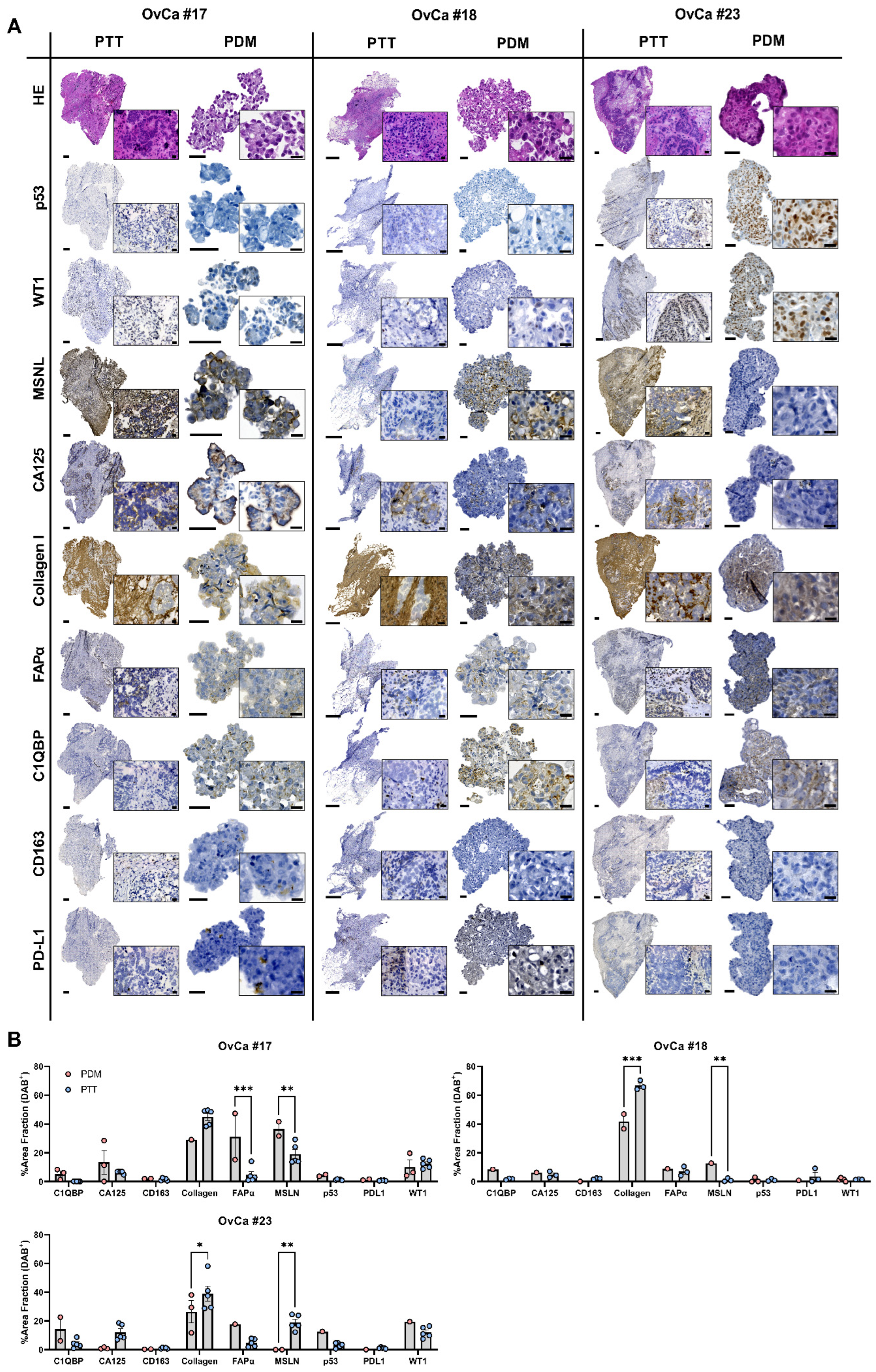 Cancers 14 02895 g002