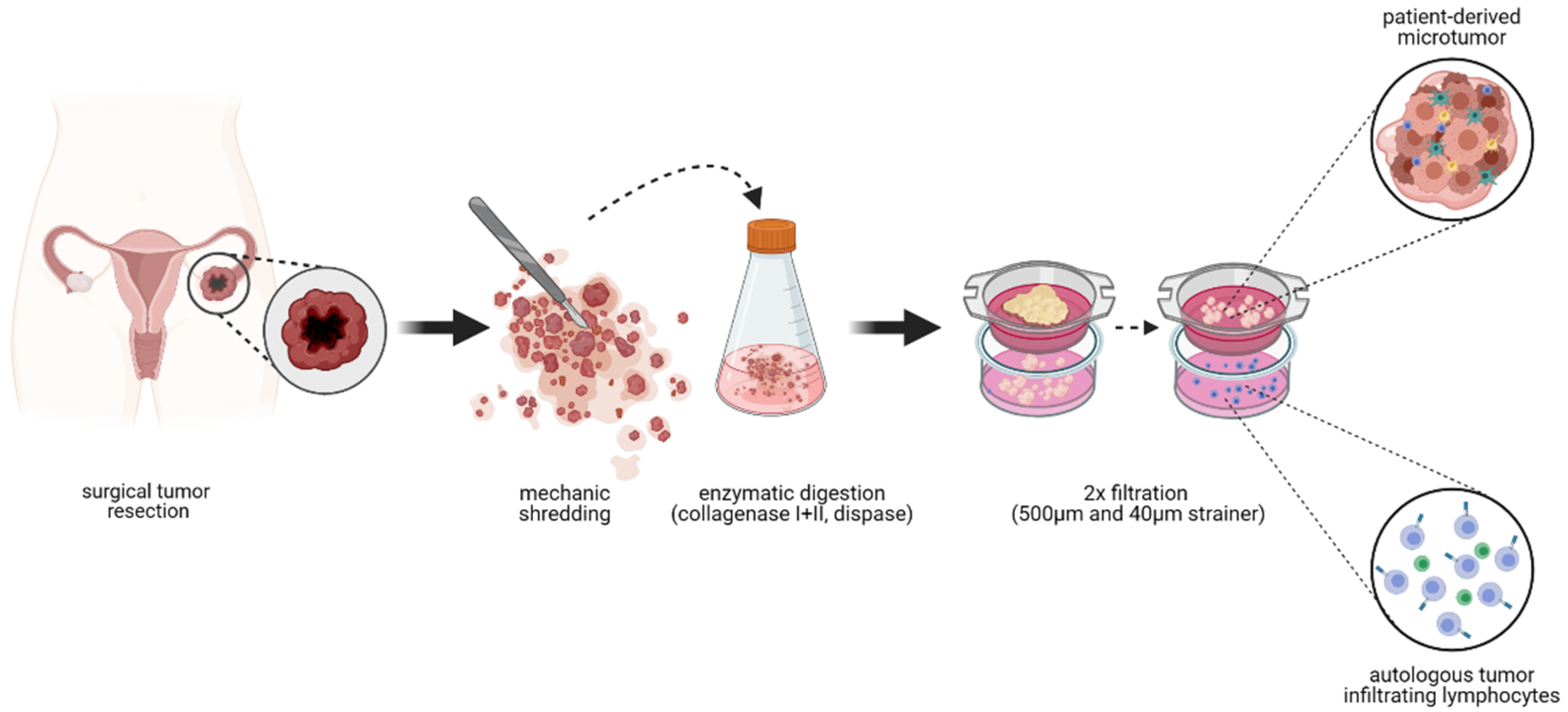 Cancers 14 02895 sch001