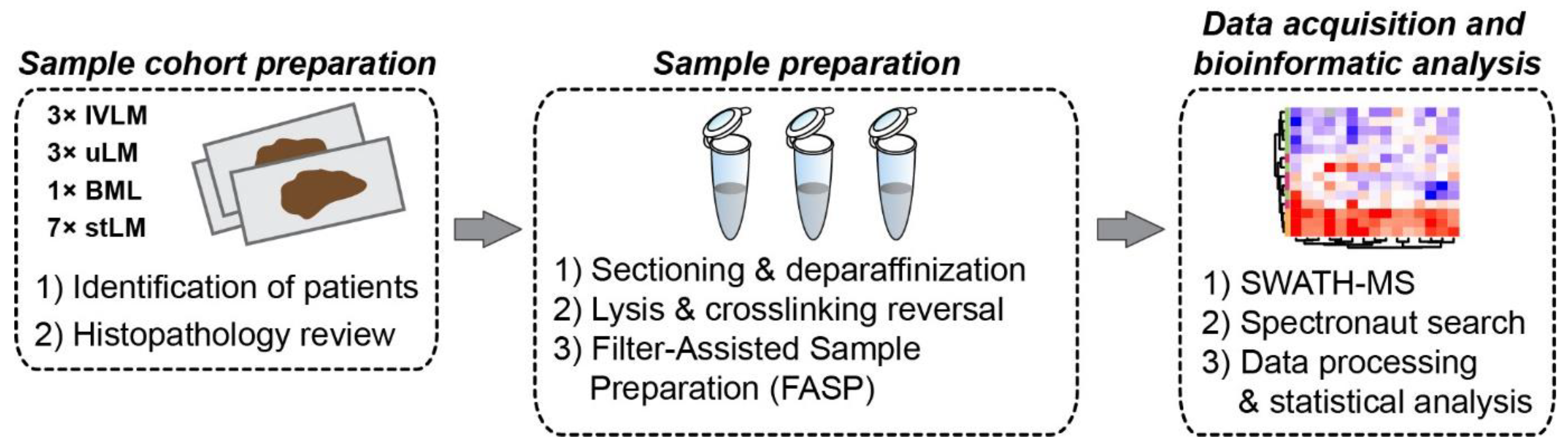 Cancers 14 02907 g001