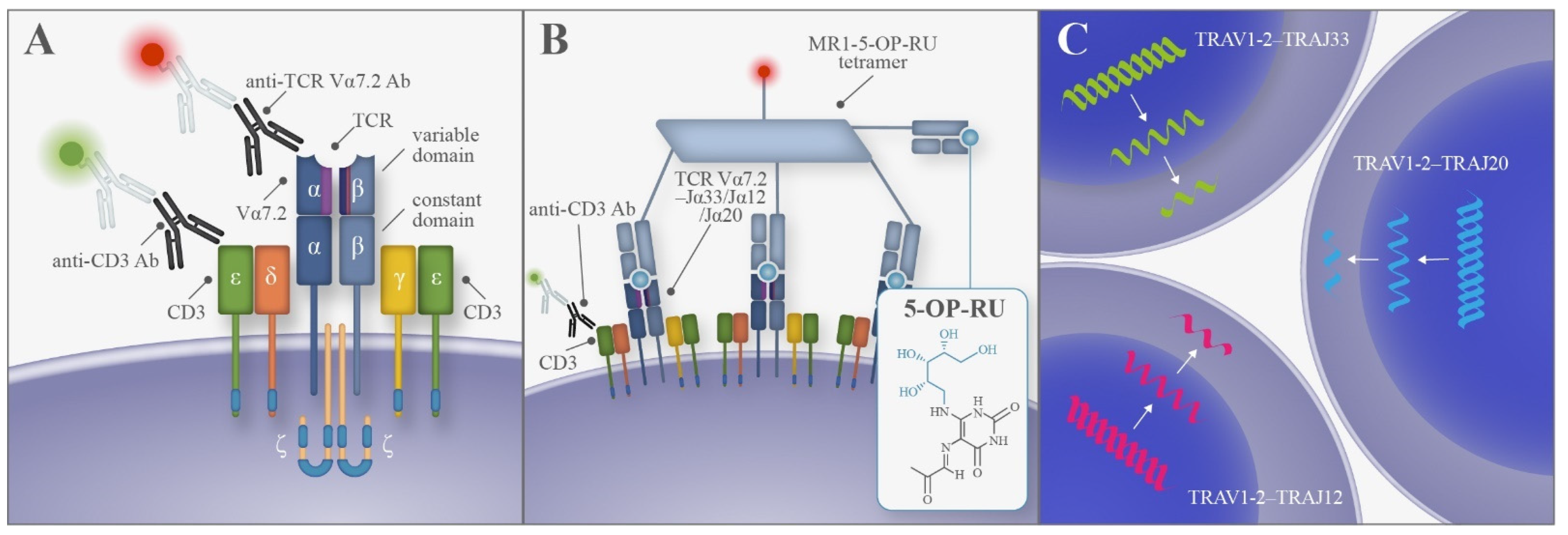 Cancers 14 02921 g001