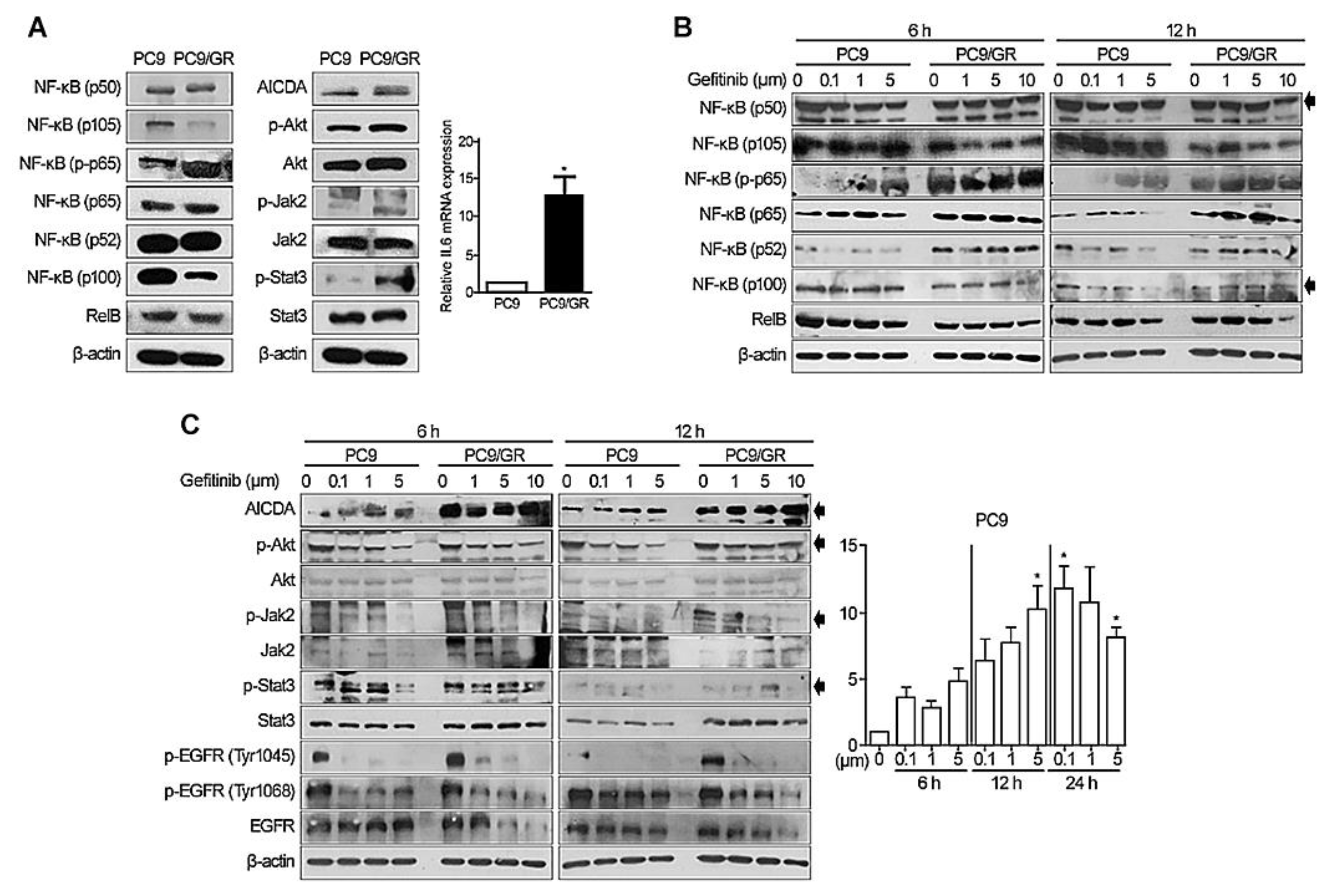 Cancers 14 02940 g001