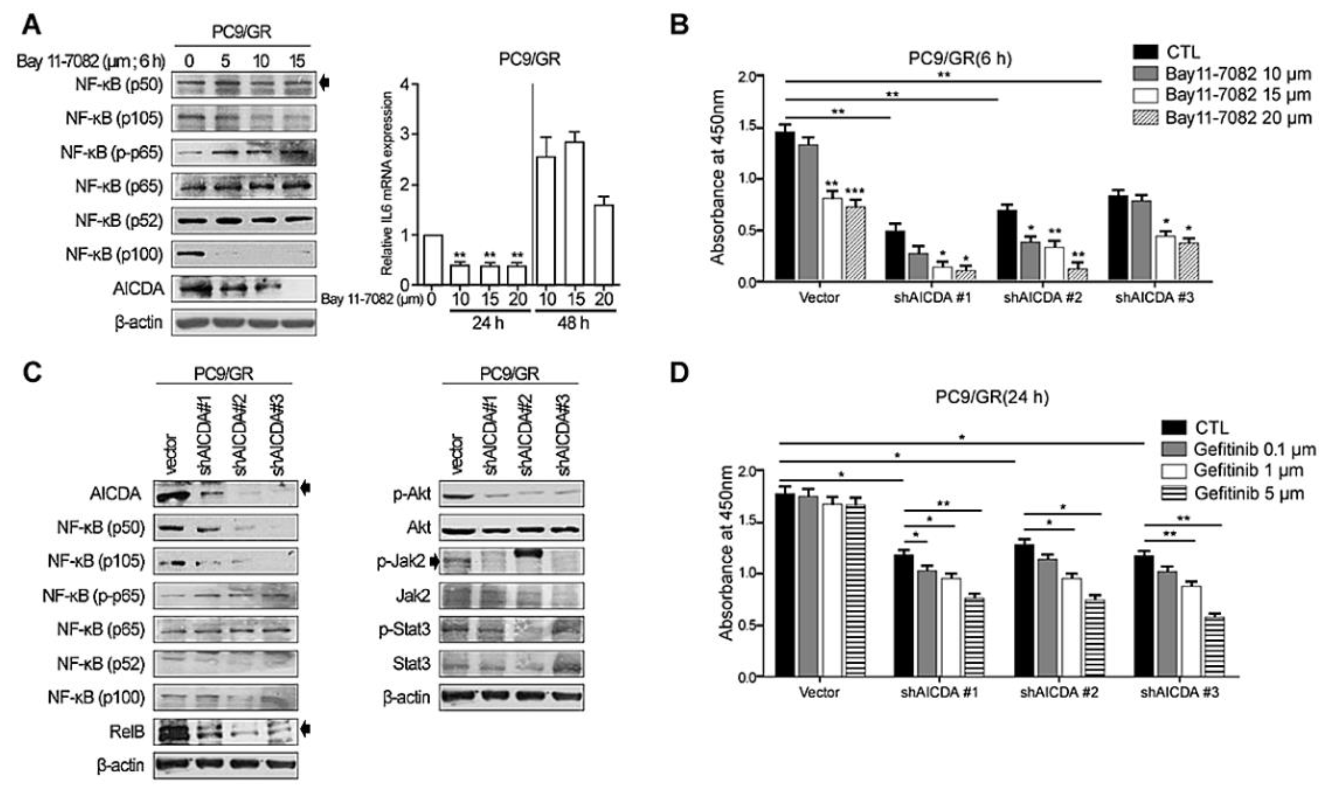 Cancers 14 02940 g002