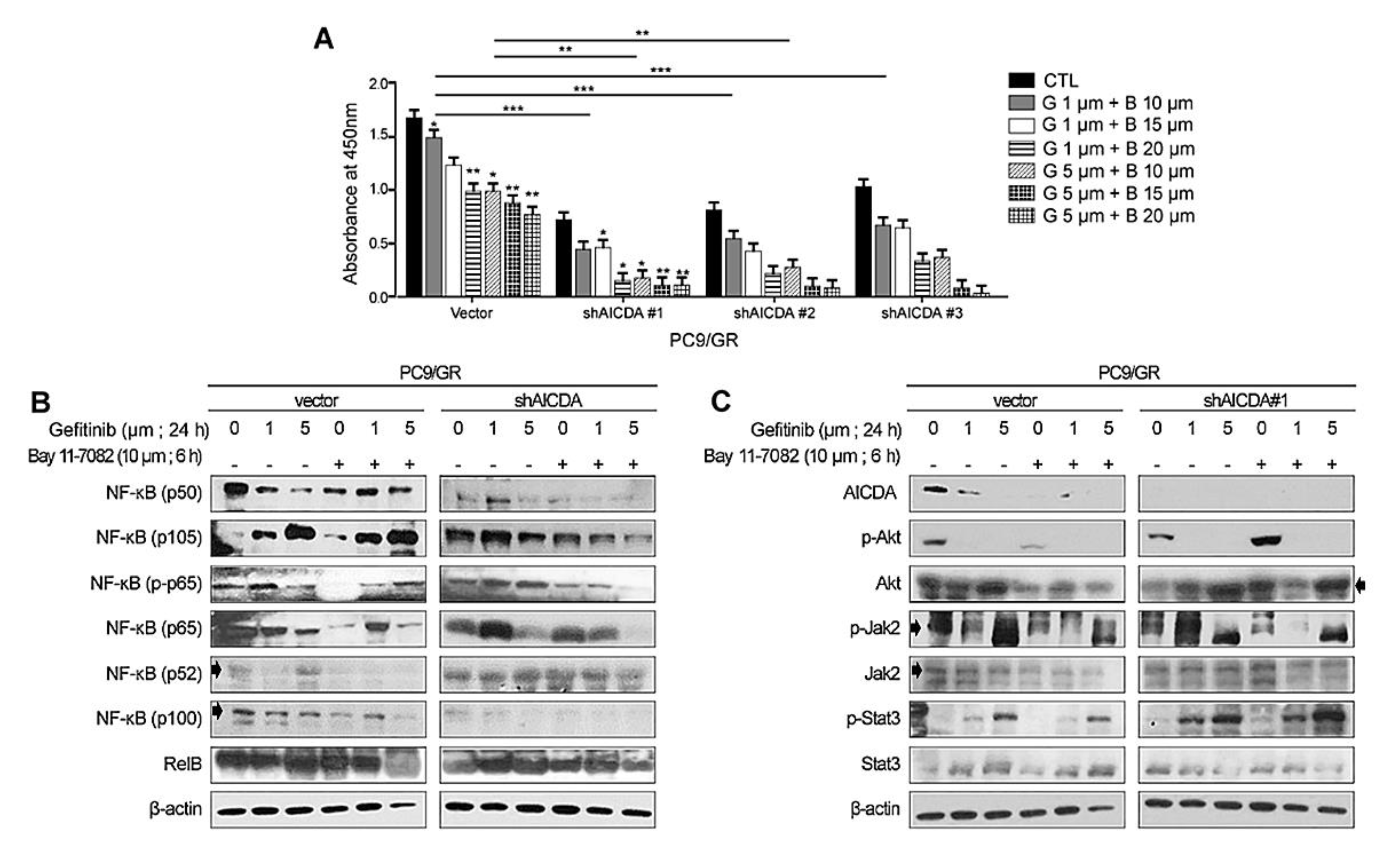 Cancers 14 02940 g003