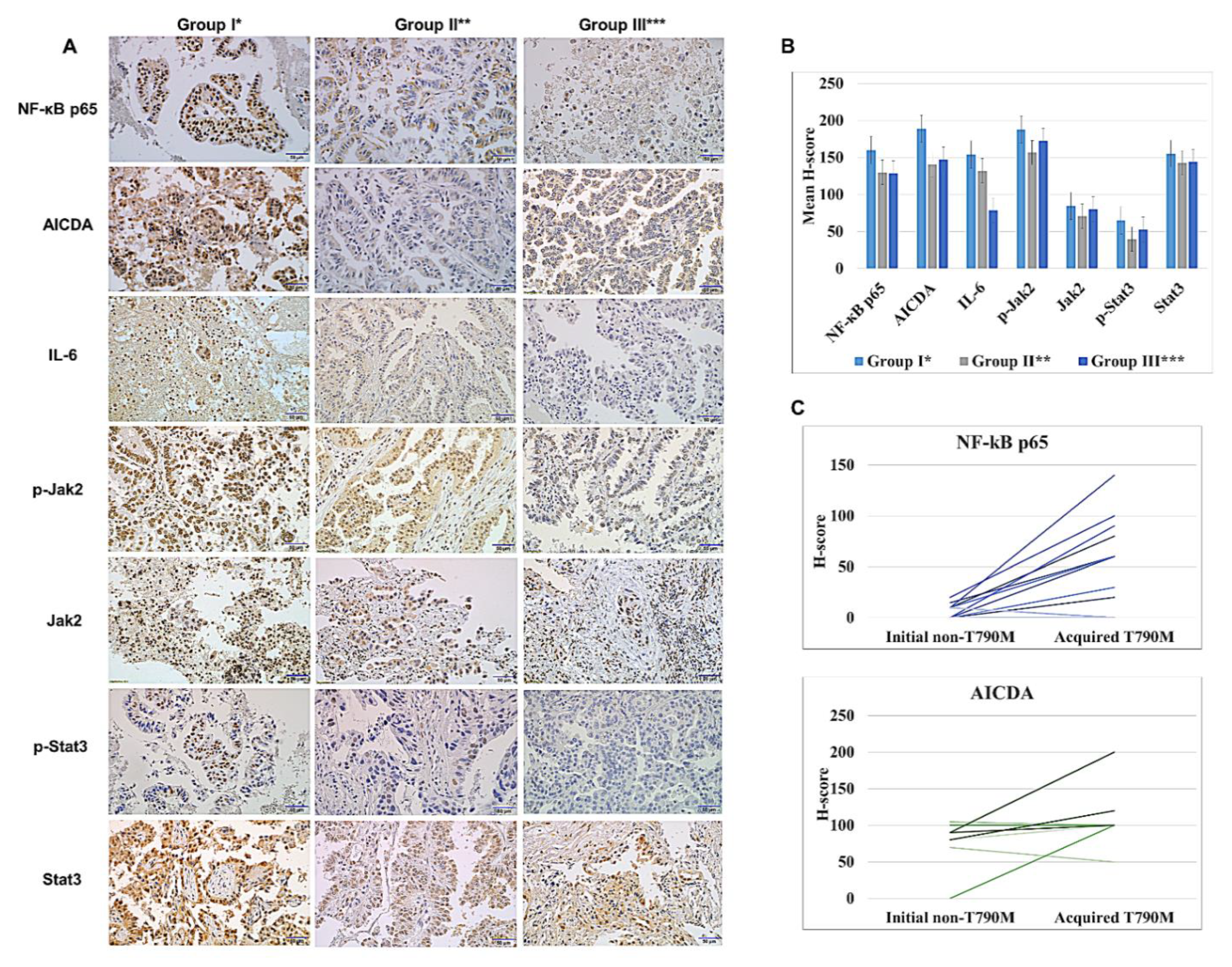 Cancers 14 02940 g004