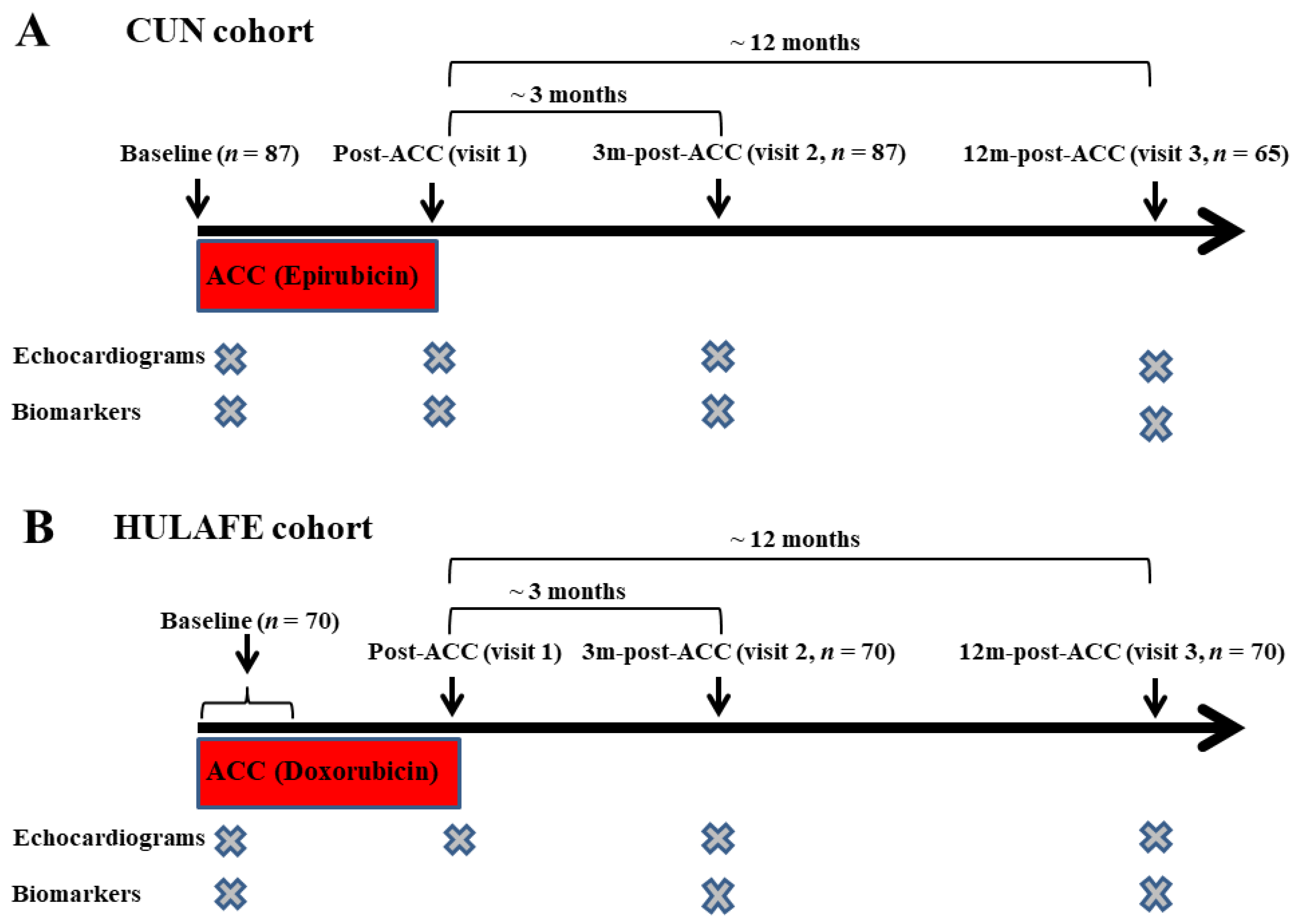 Cancers 14 02941 g001