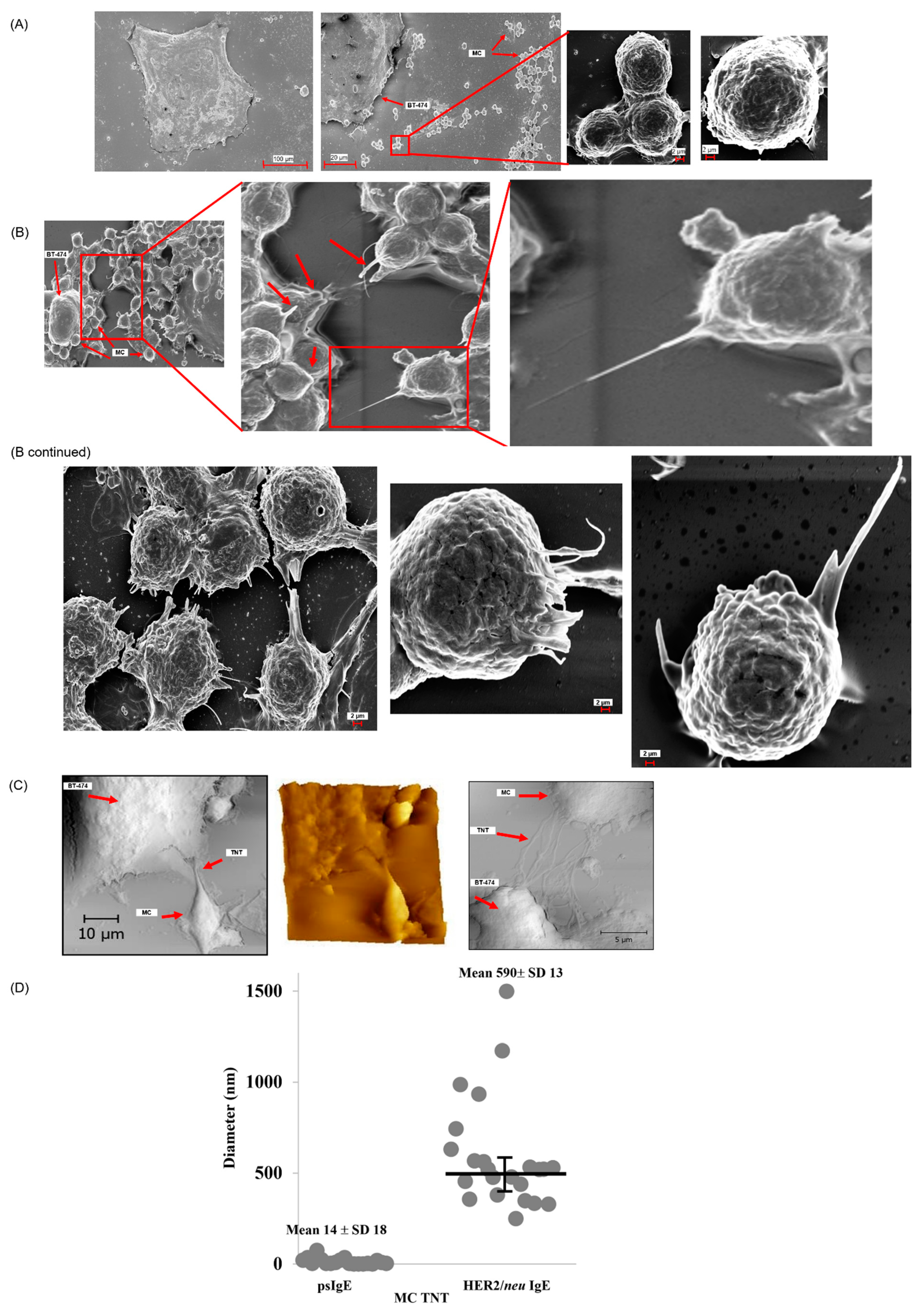Cancers 14 02944 g001