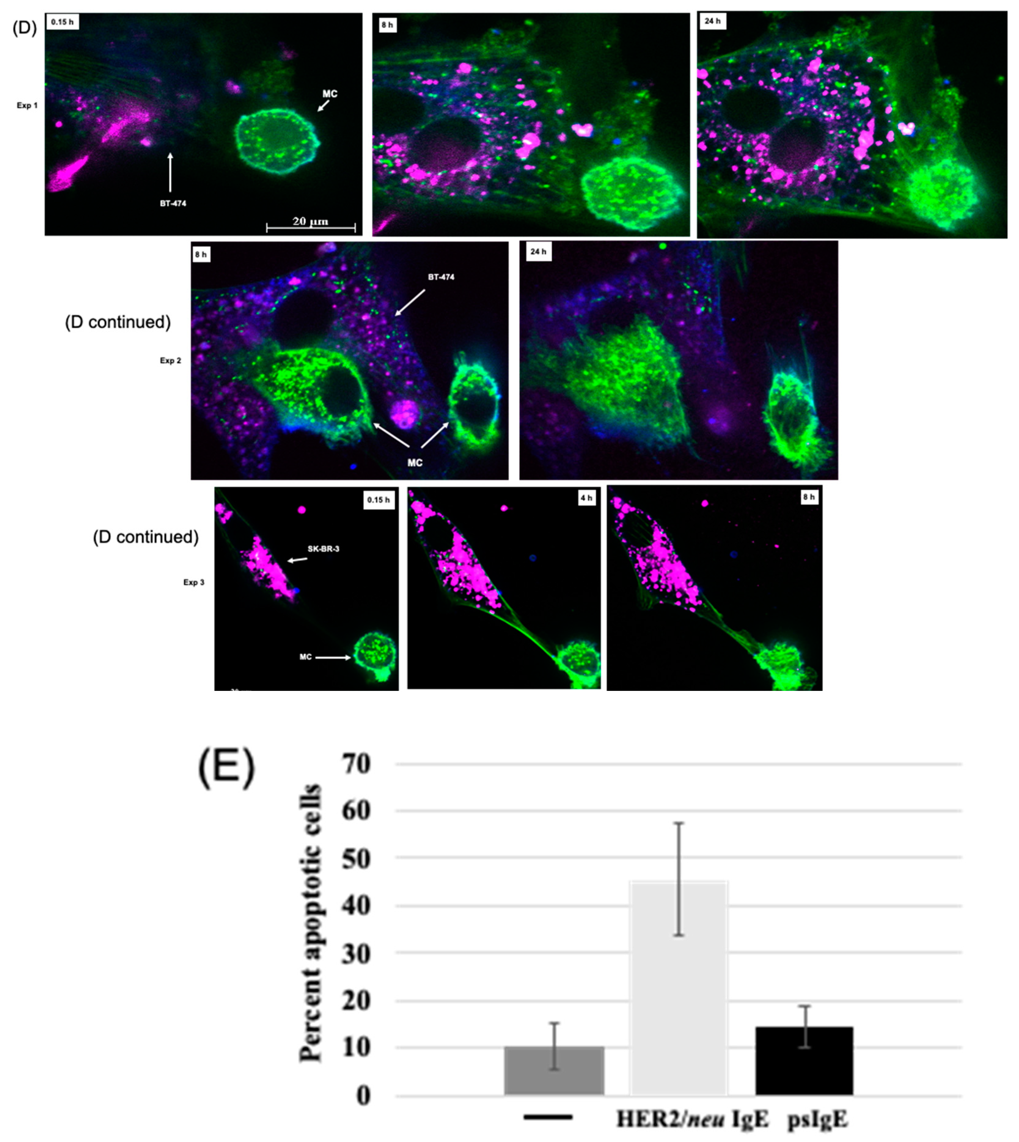 Cancers 14 02944 g002b