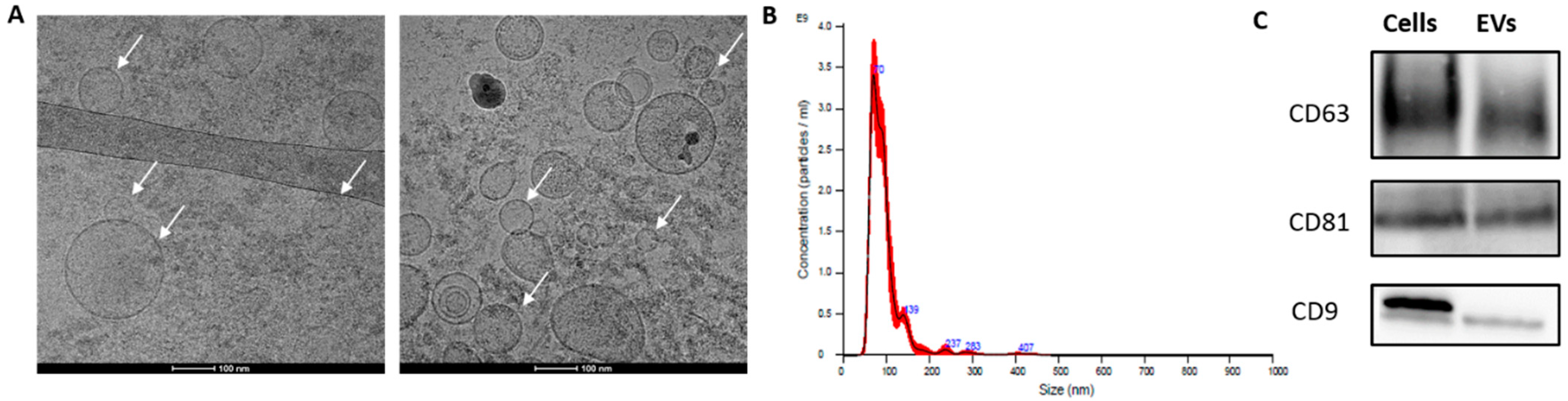 Cancers 14 02953 g002