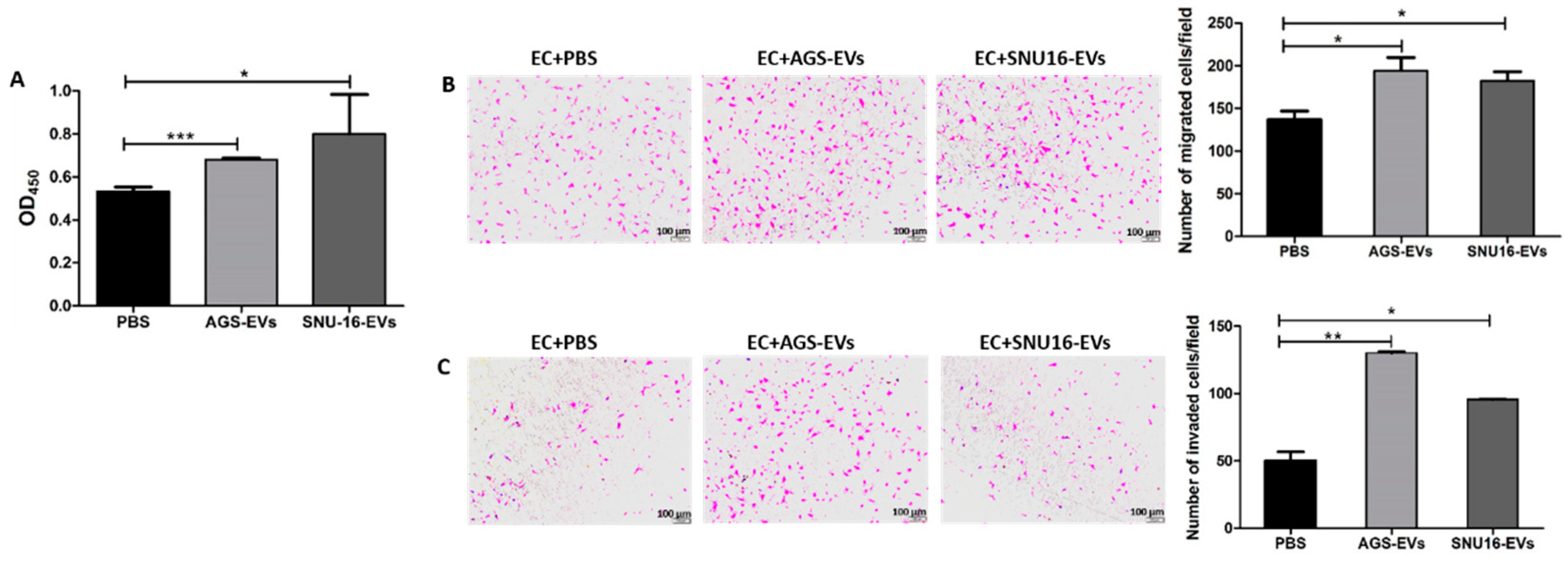 Cancers 14 02953 g004