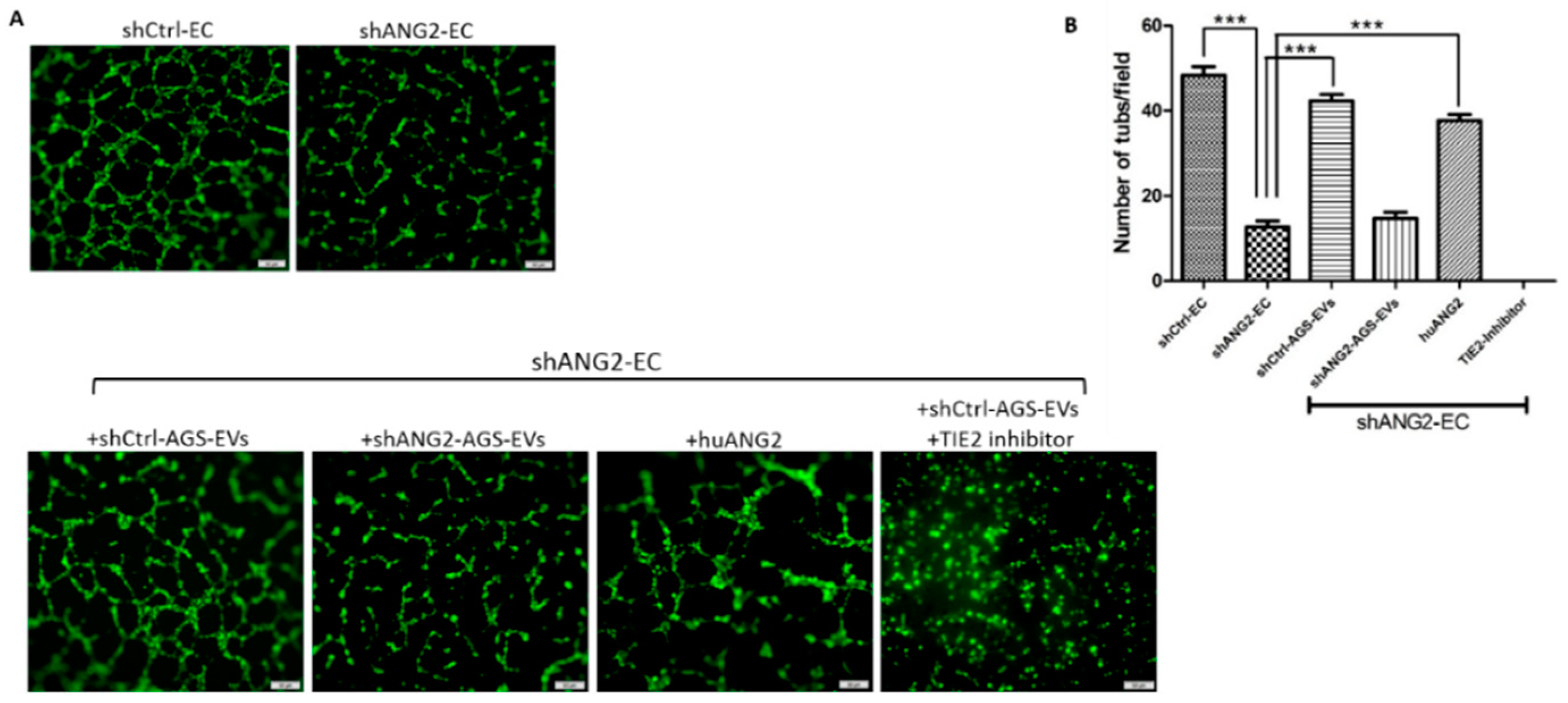 Cancers 14 02953 g008
