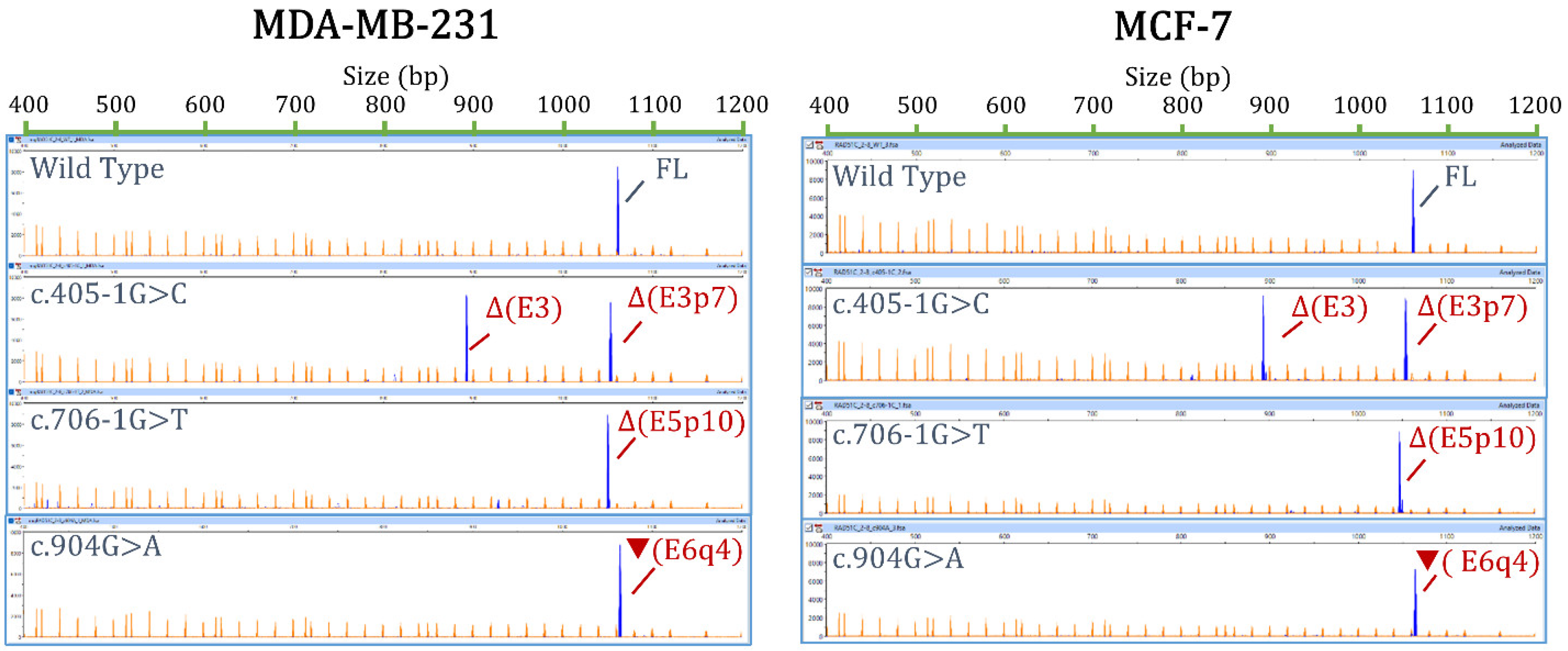 Cancers 14 02960 g002