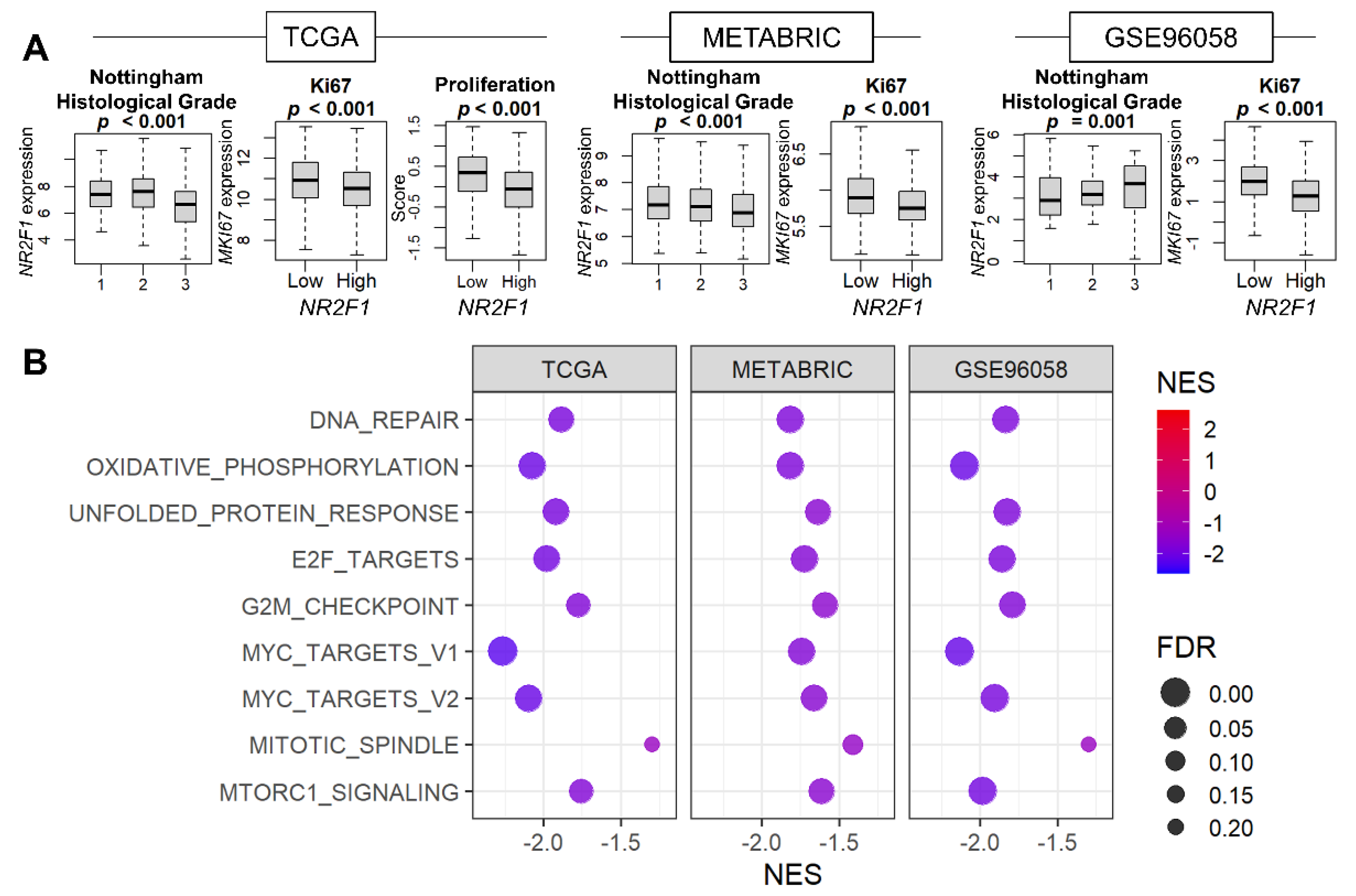 Cancers 14 02962 g002