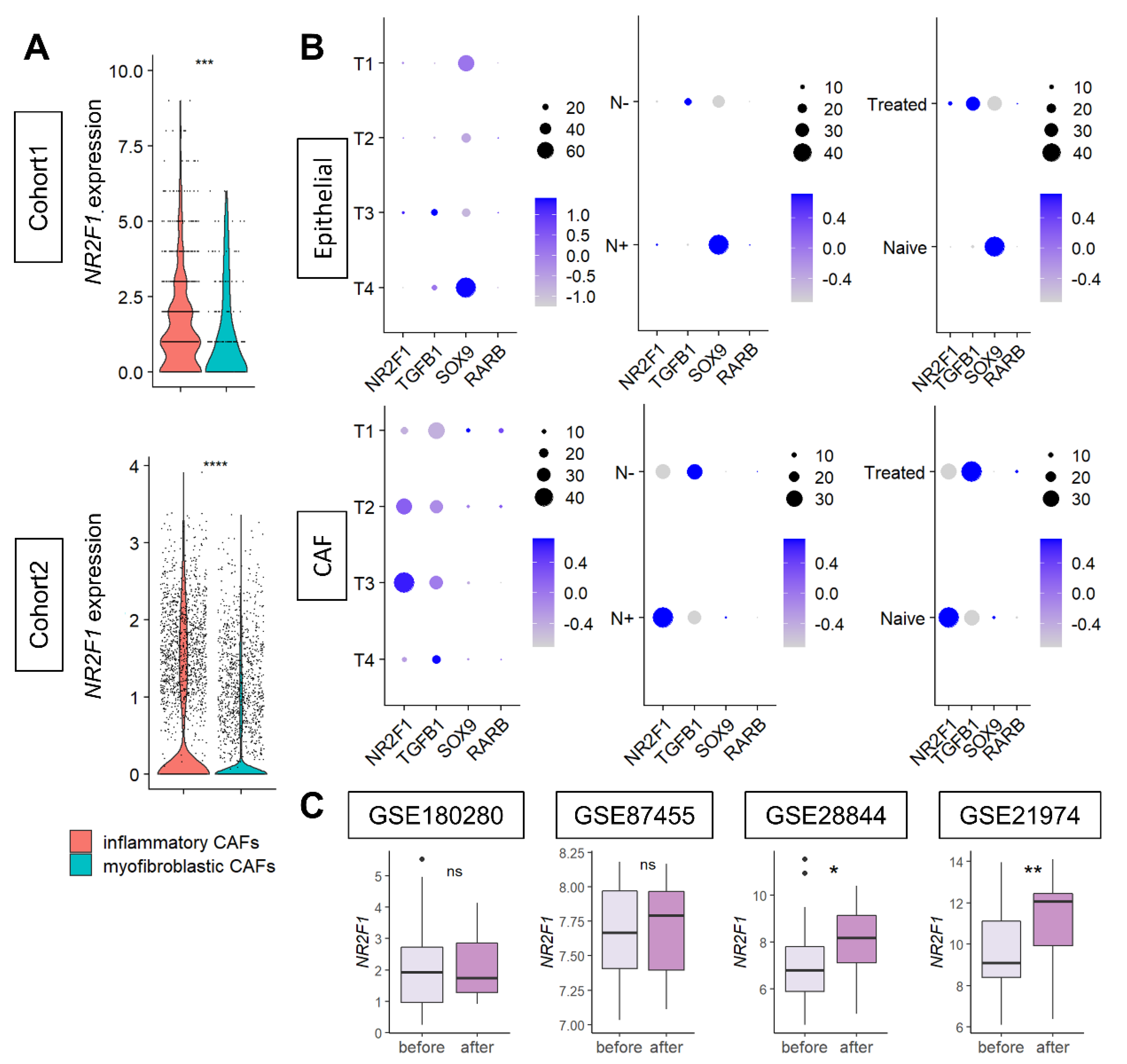 Cancers 14 02962 g007