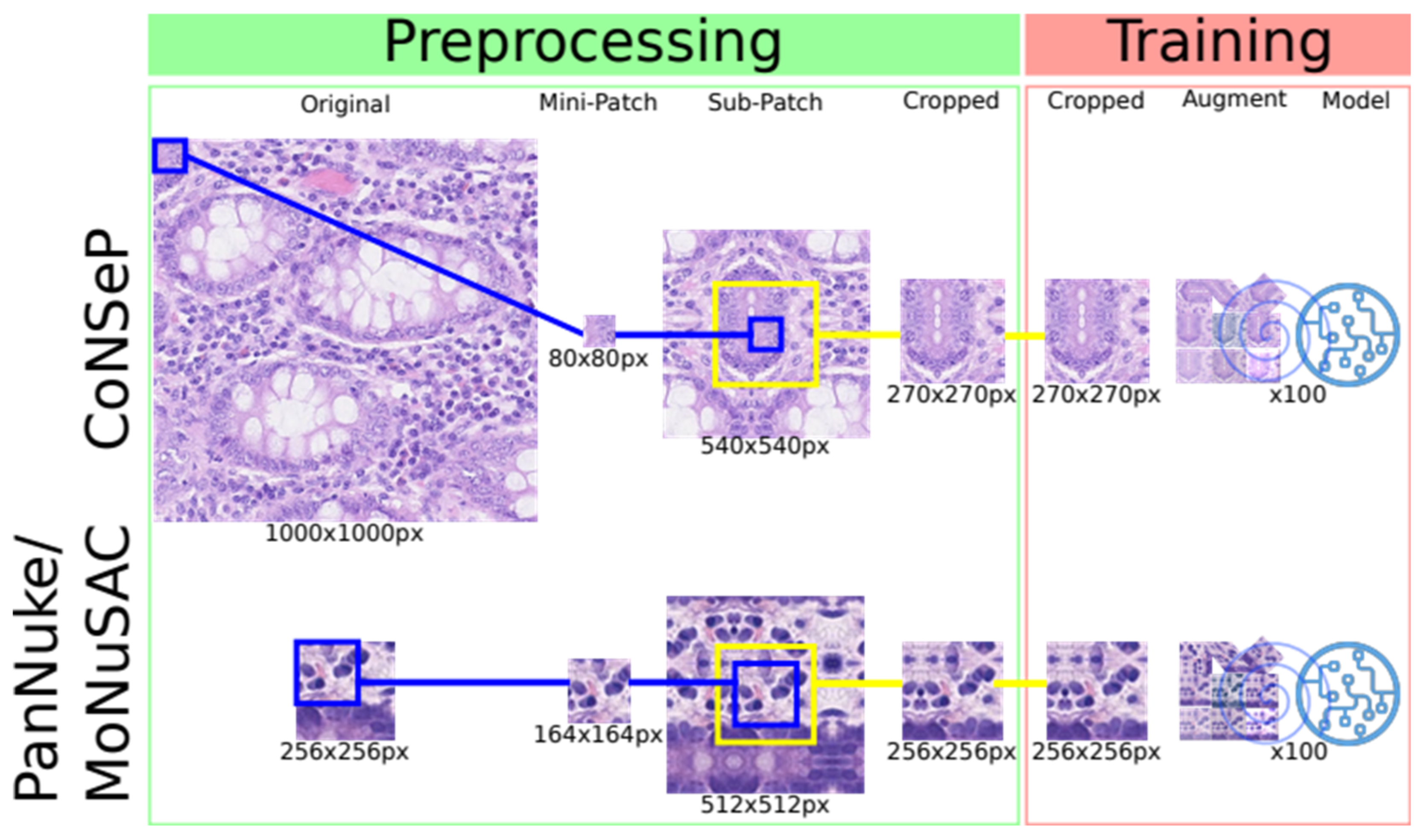 Cancers 14 02974 g001