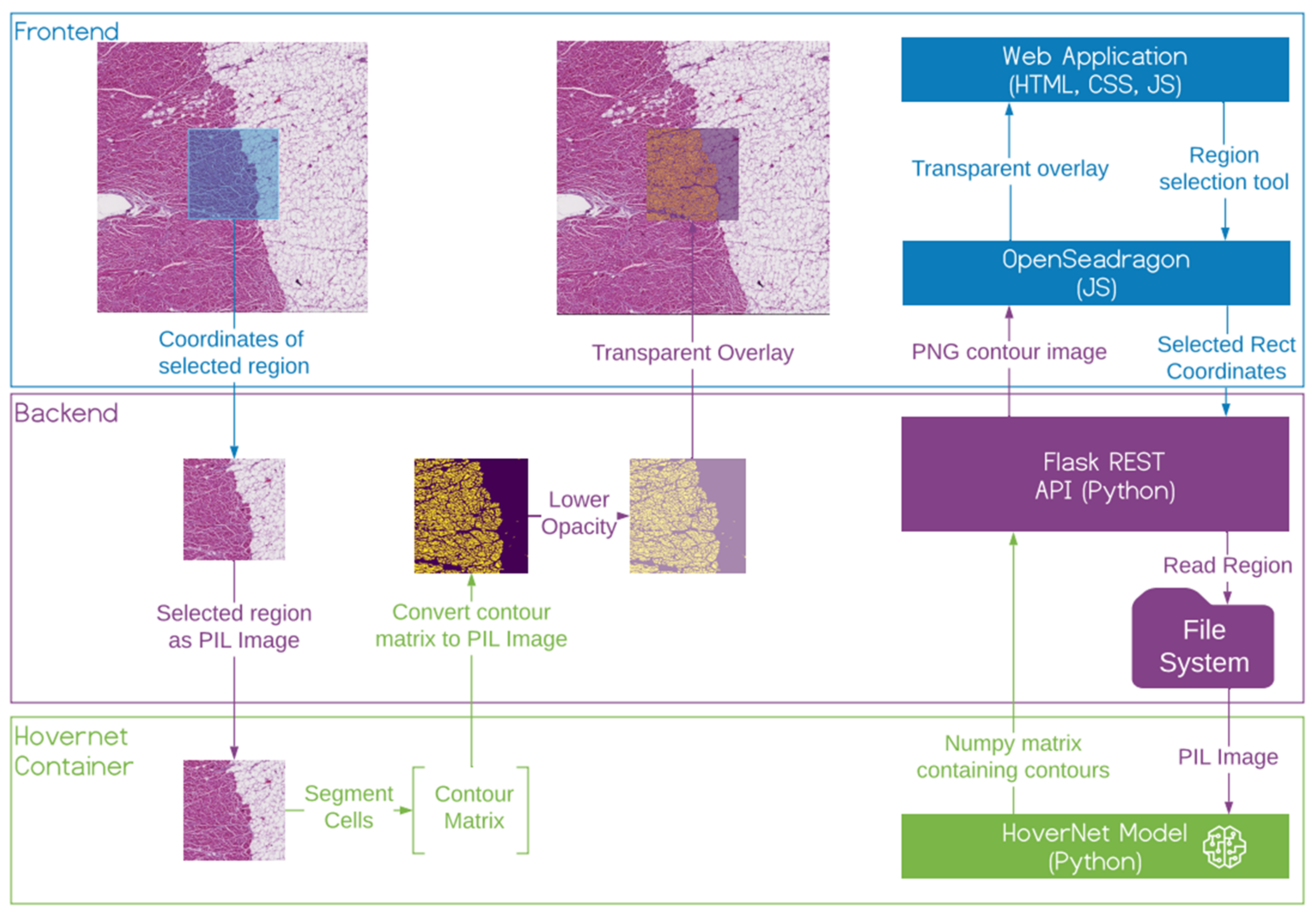 Cancers 14 02974 g003