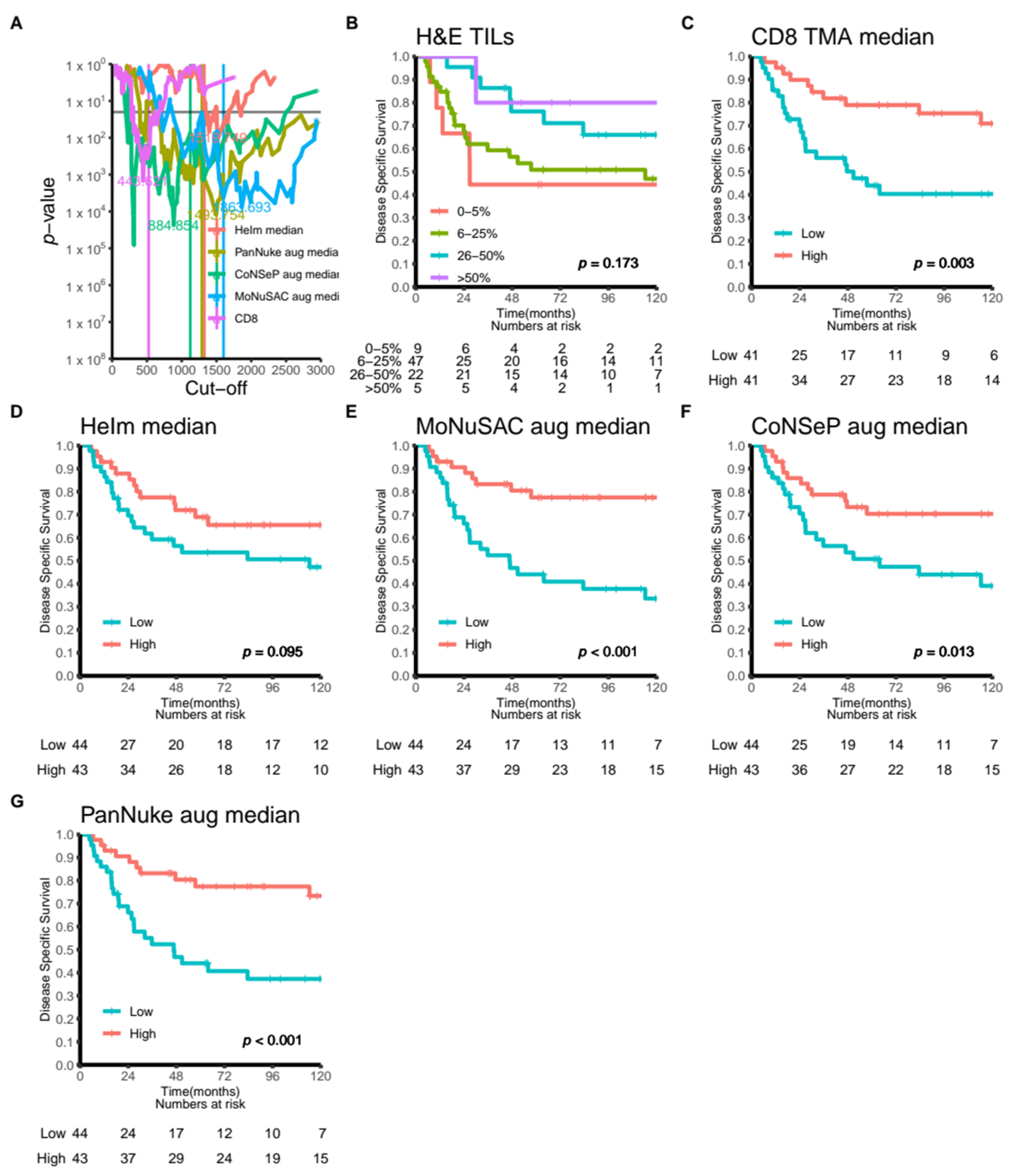Cancers 14 02974 g004