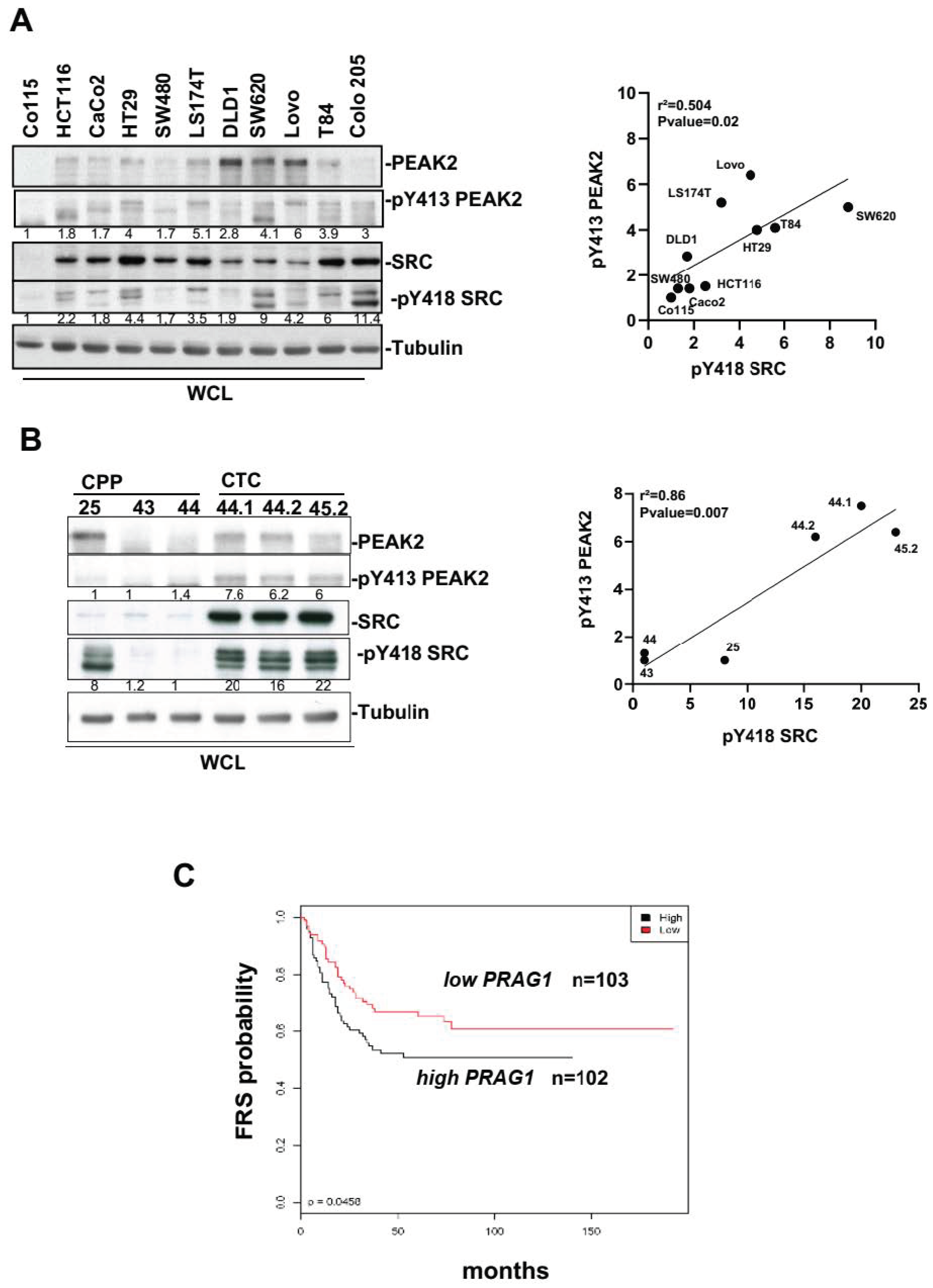 Cancers 14 02981 g001