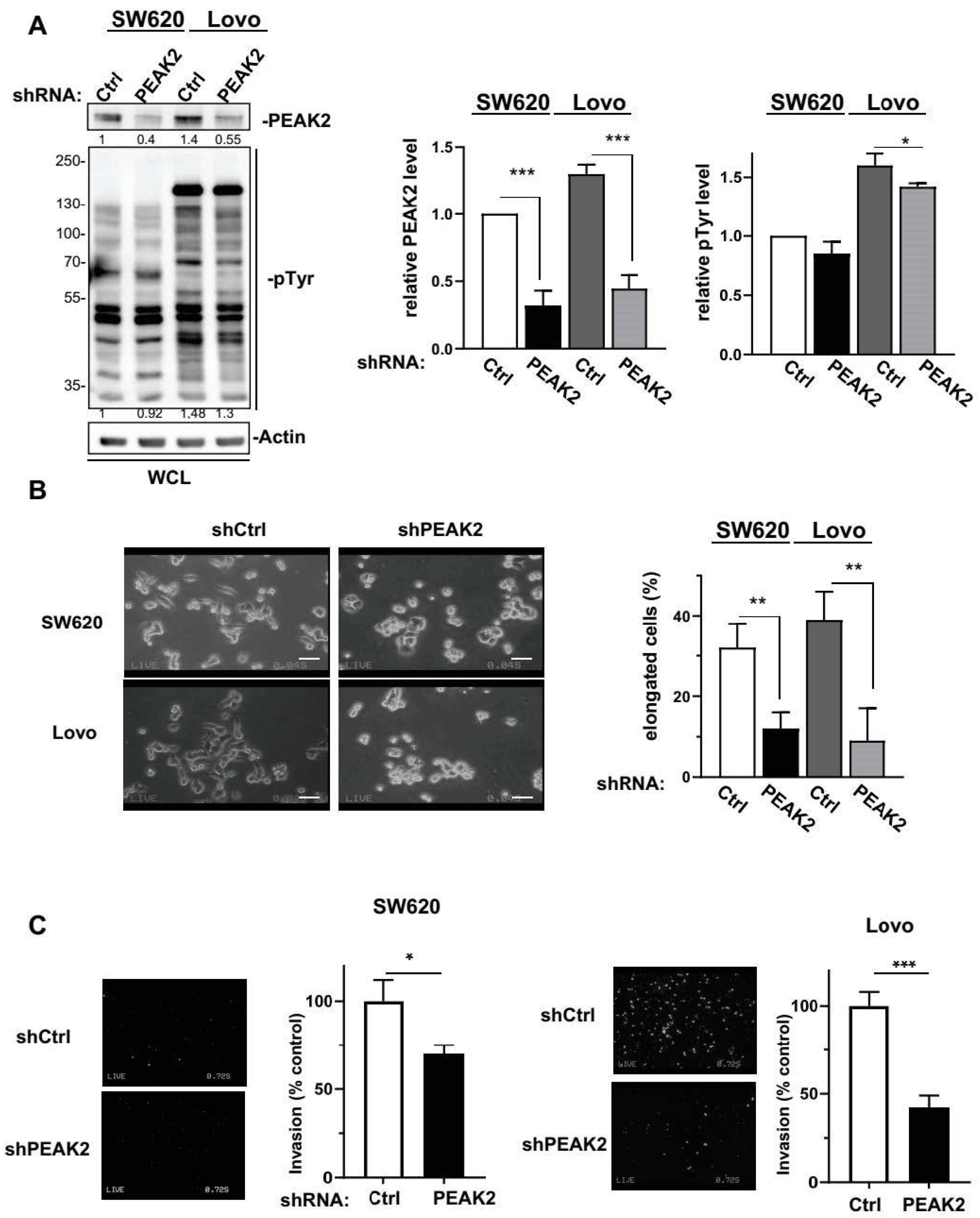 Cancers 14 02981 g002