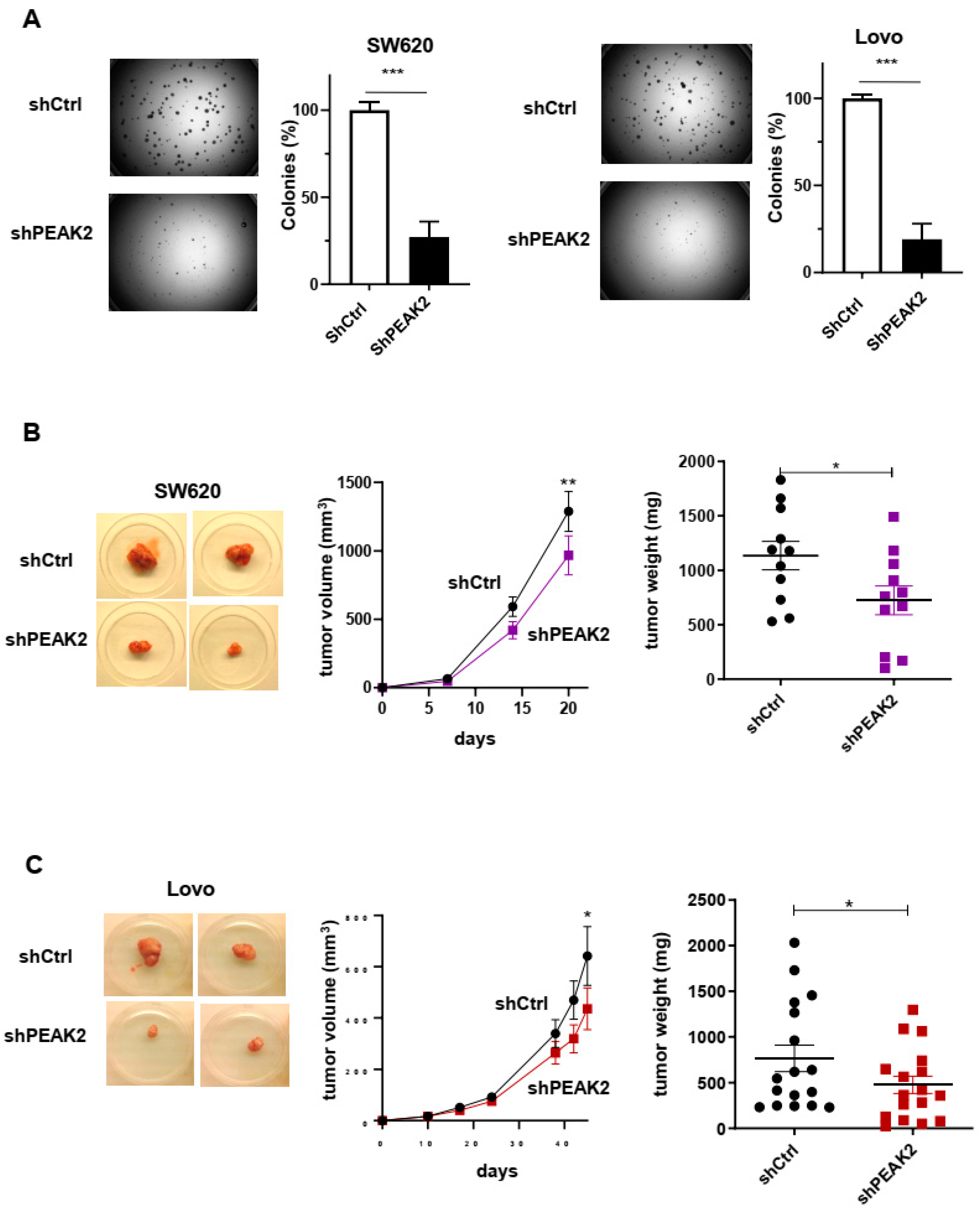 Cancers 14 02981 g003