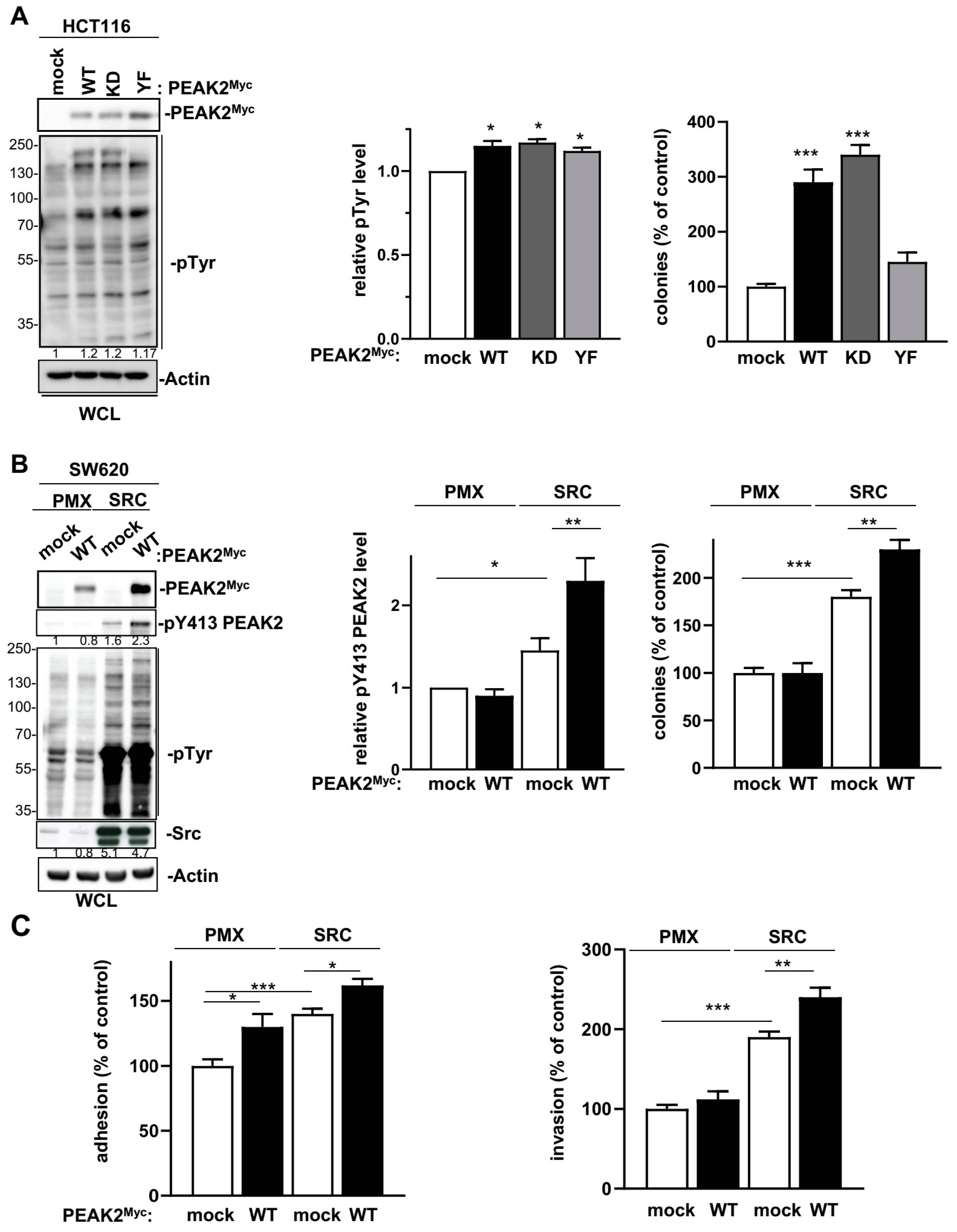 Cancers 14 02981 g004