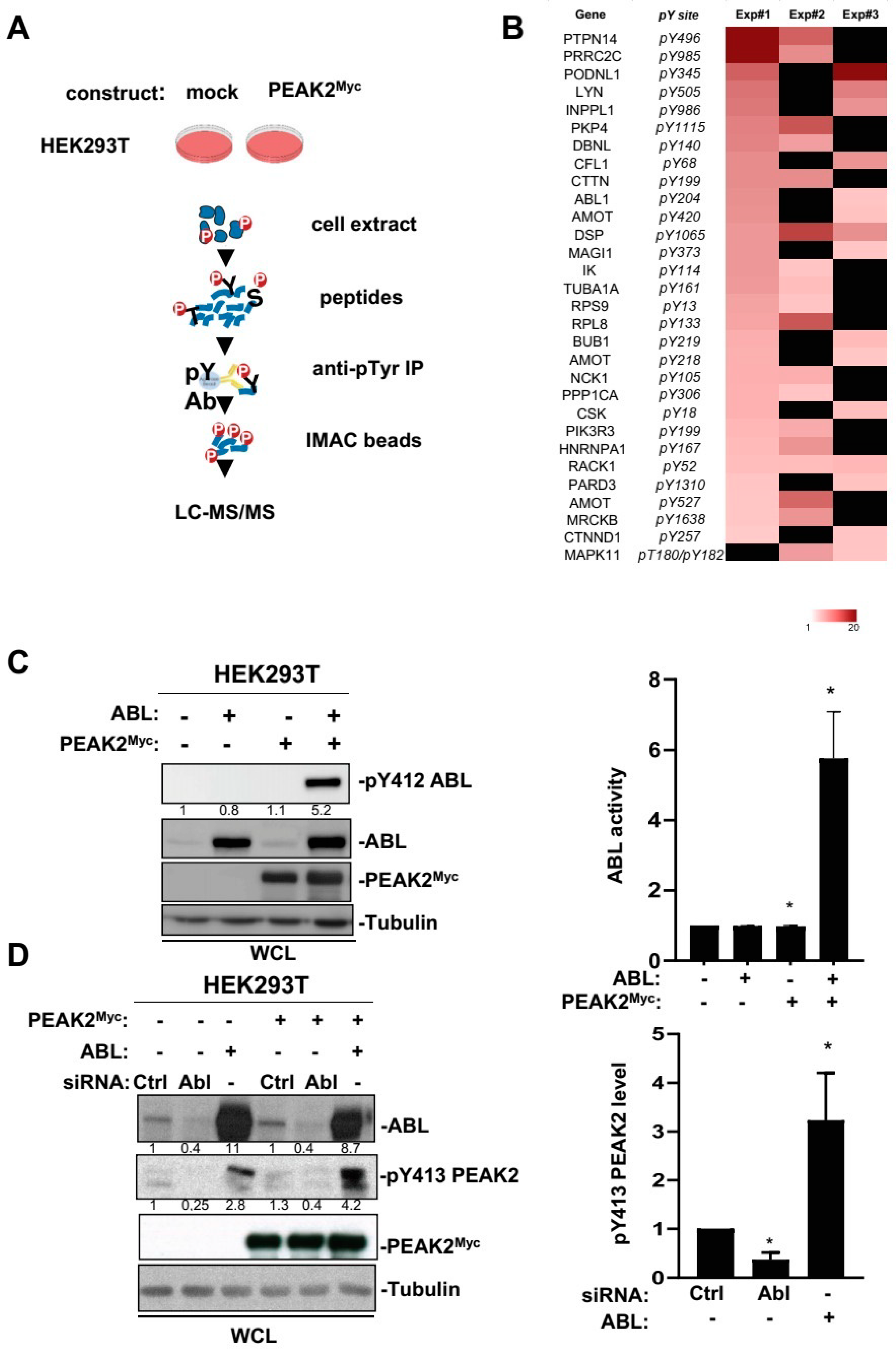 Cancers 14 02981 g005
