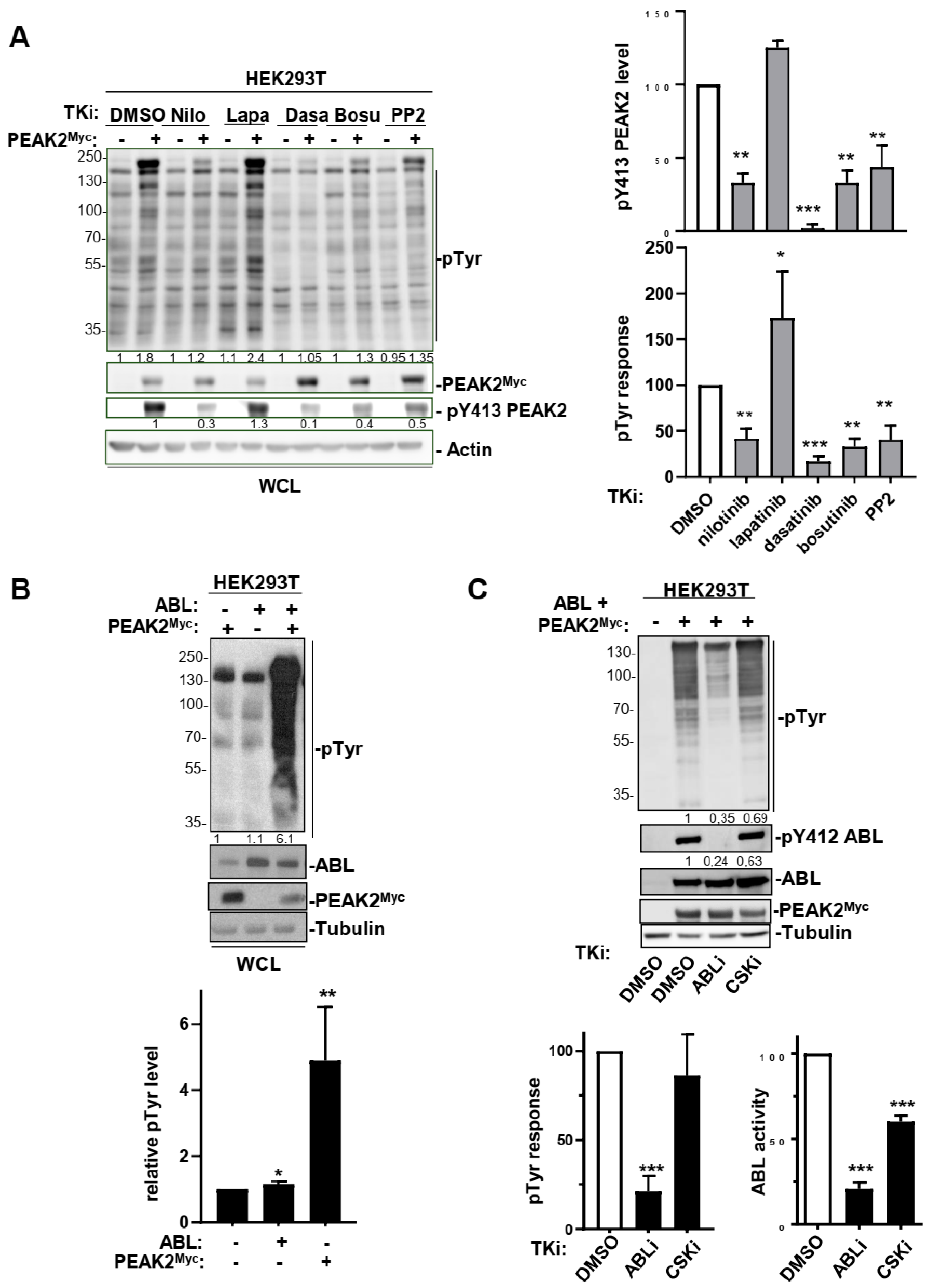 Cancers 14 02981 g006