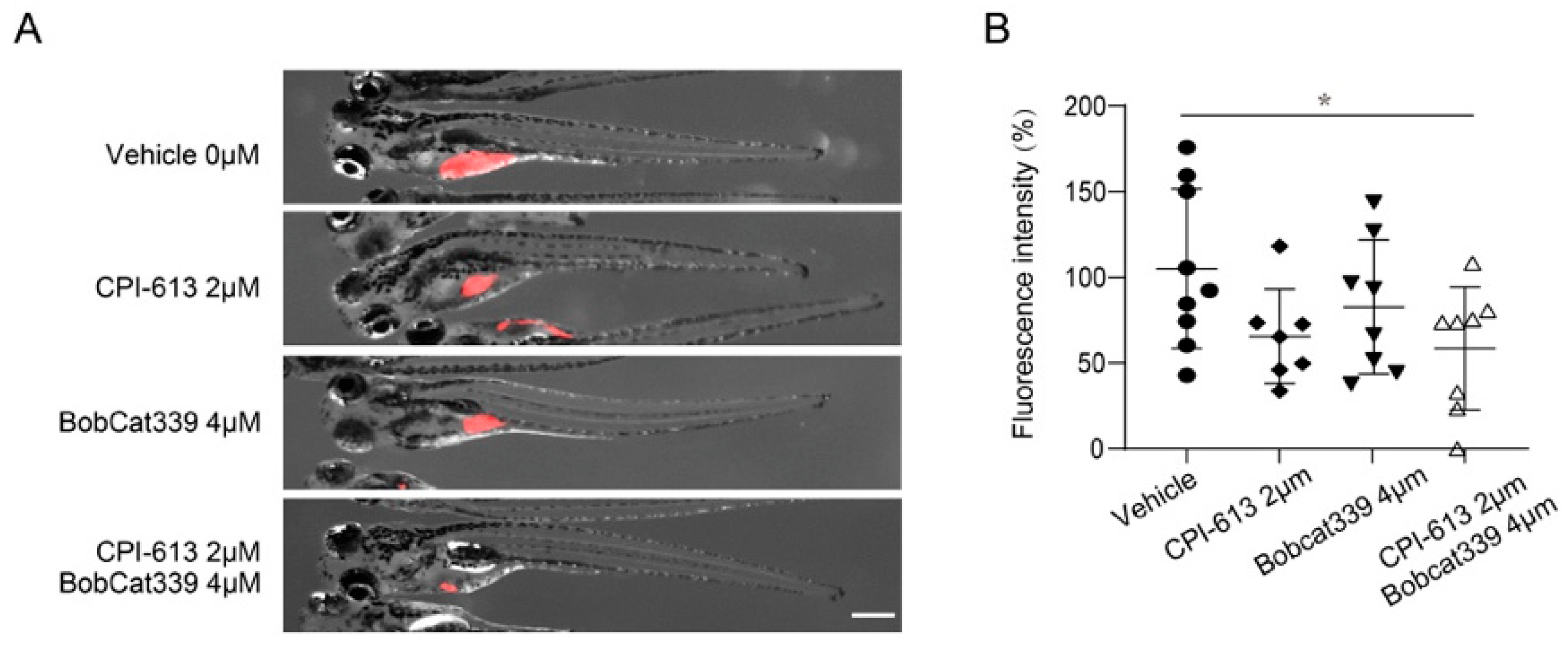 Cancers 14 02983 g006