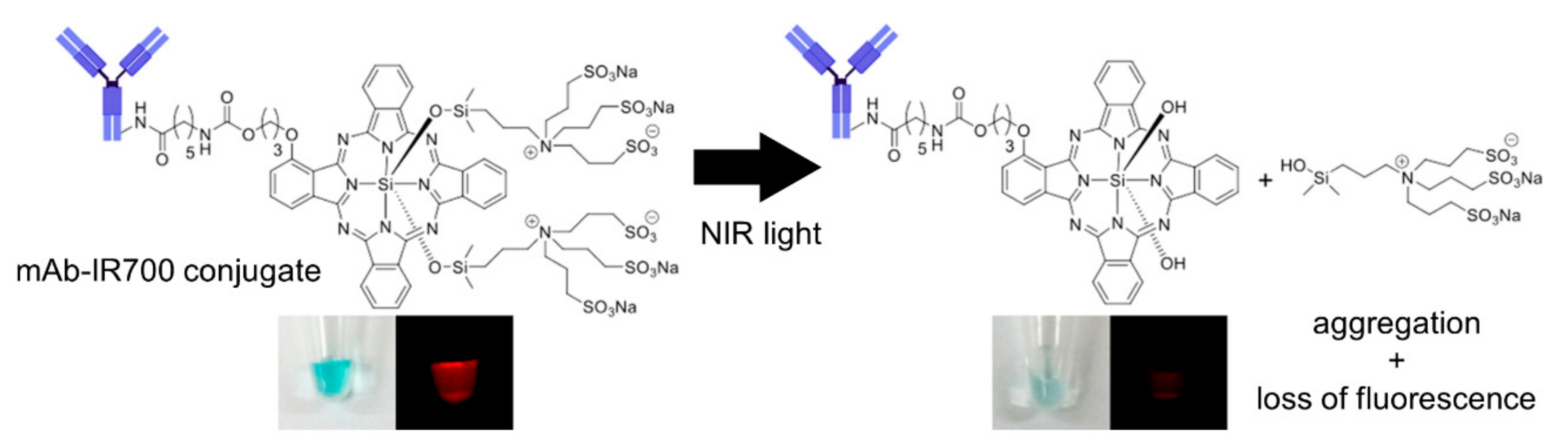 Cancers 14 02996 g001