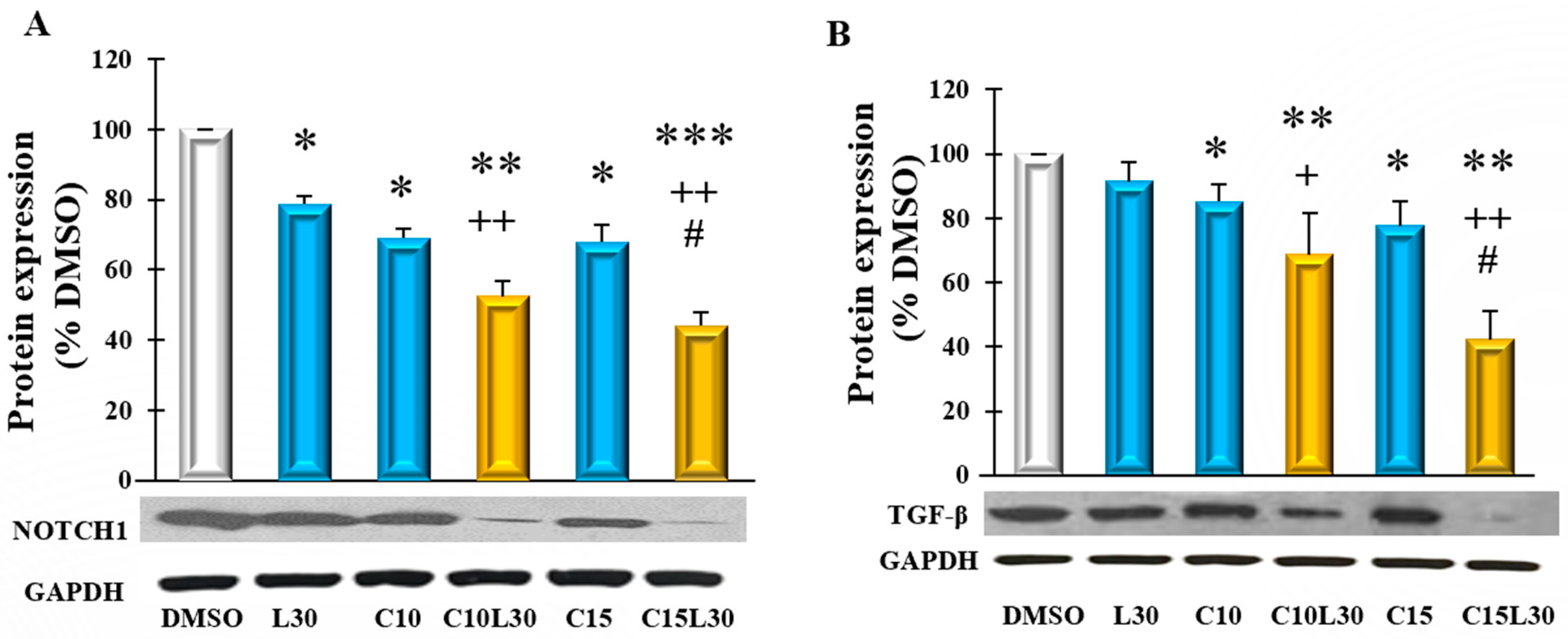 Cancers 14 03001 g003