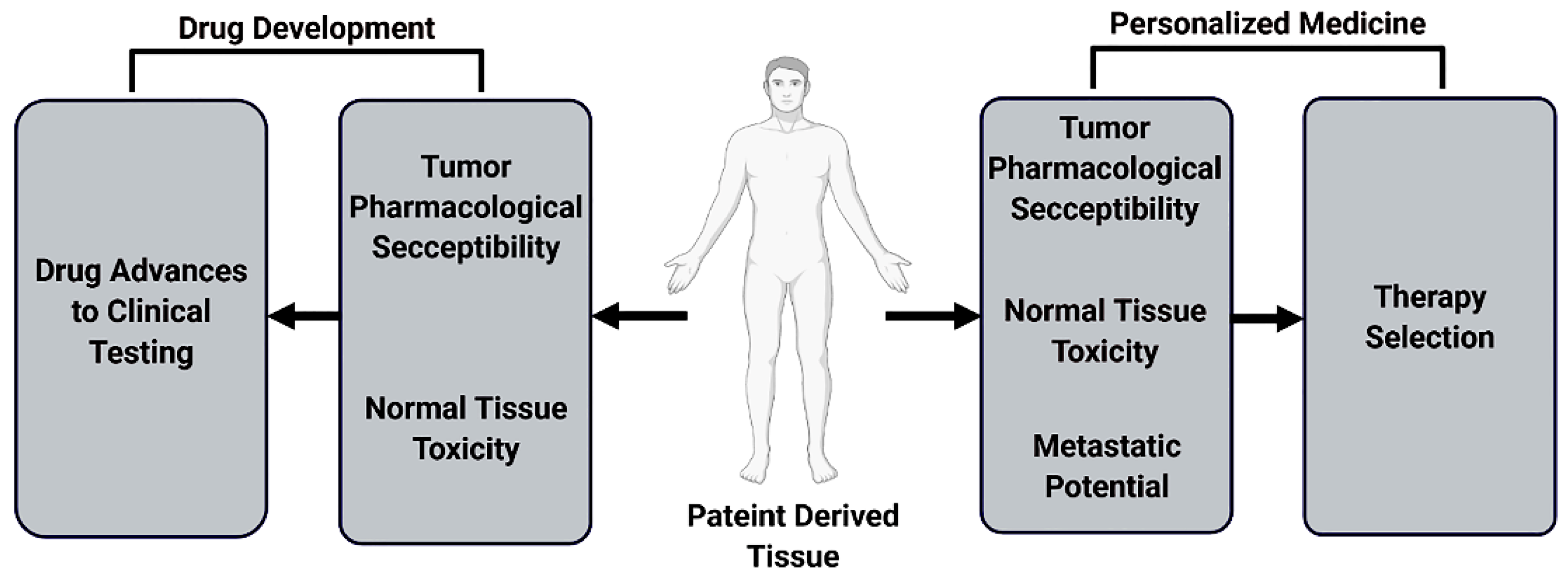 Cancers 14 03006 g004
