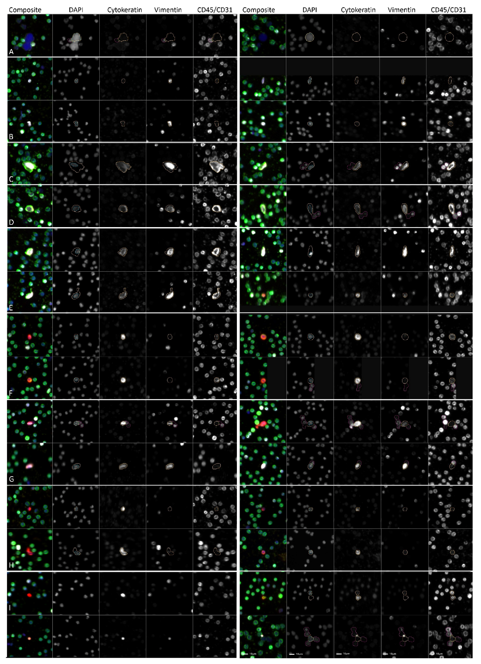 Cancers 14 03007 g001