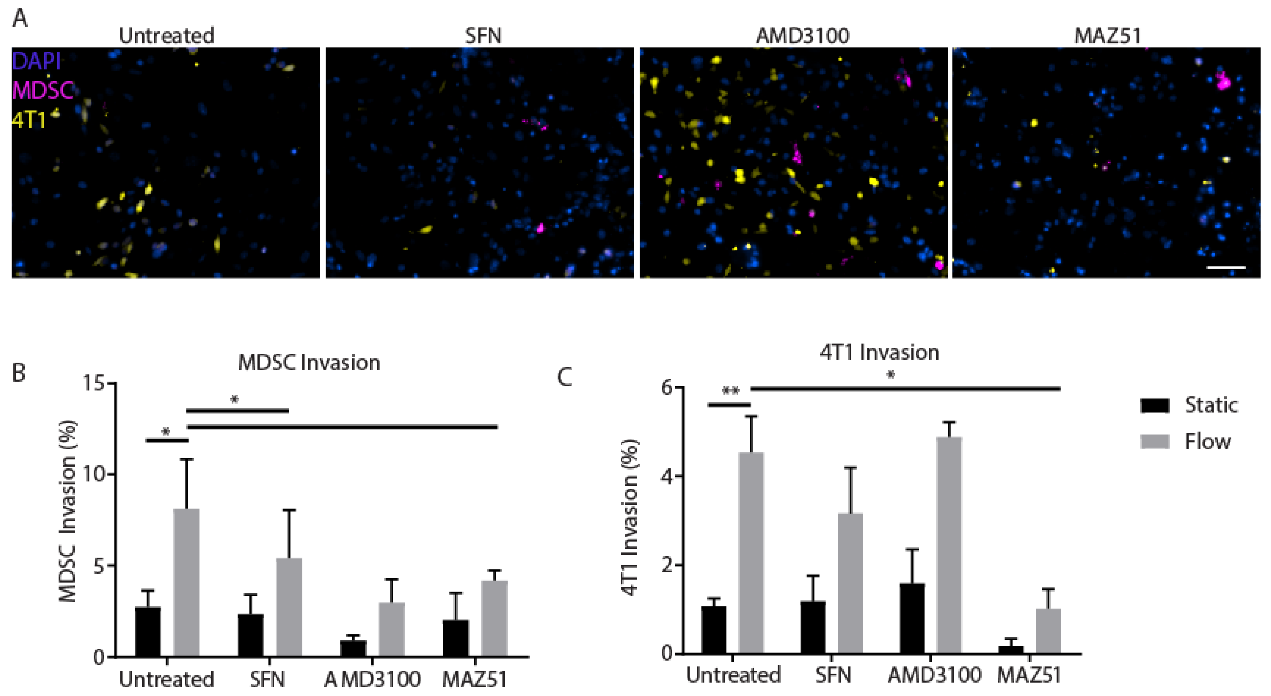 Cancers 14 03008 g005