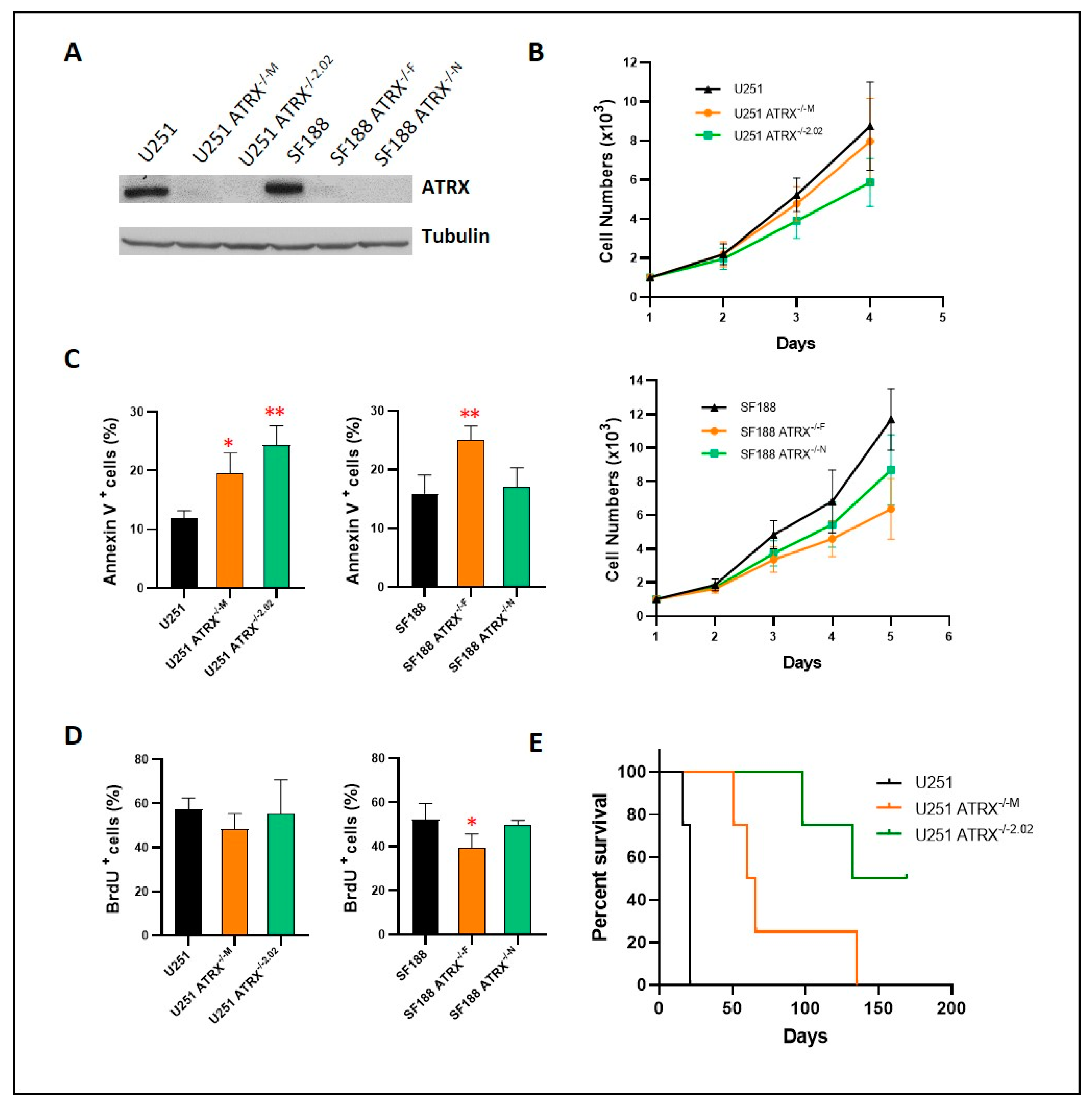 Cancers 14 03015 g003