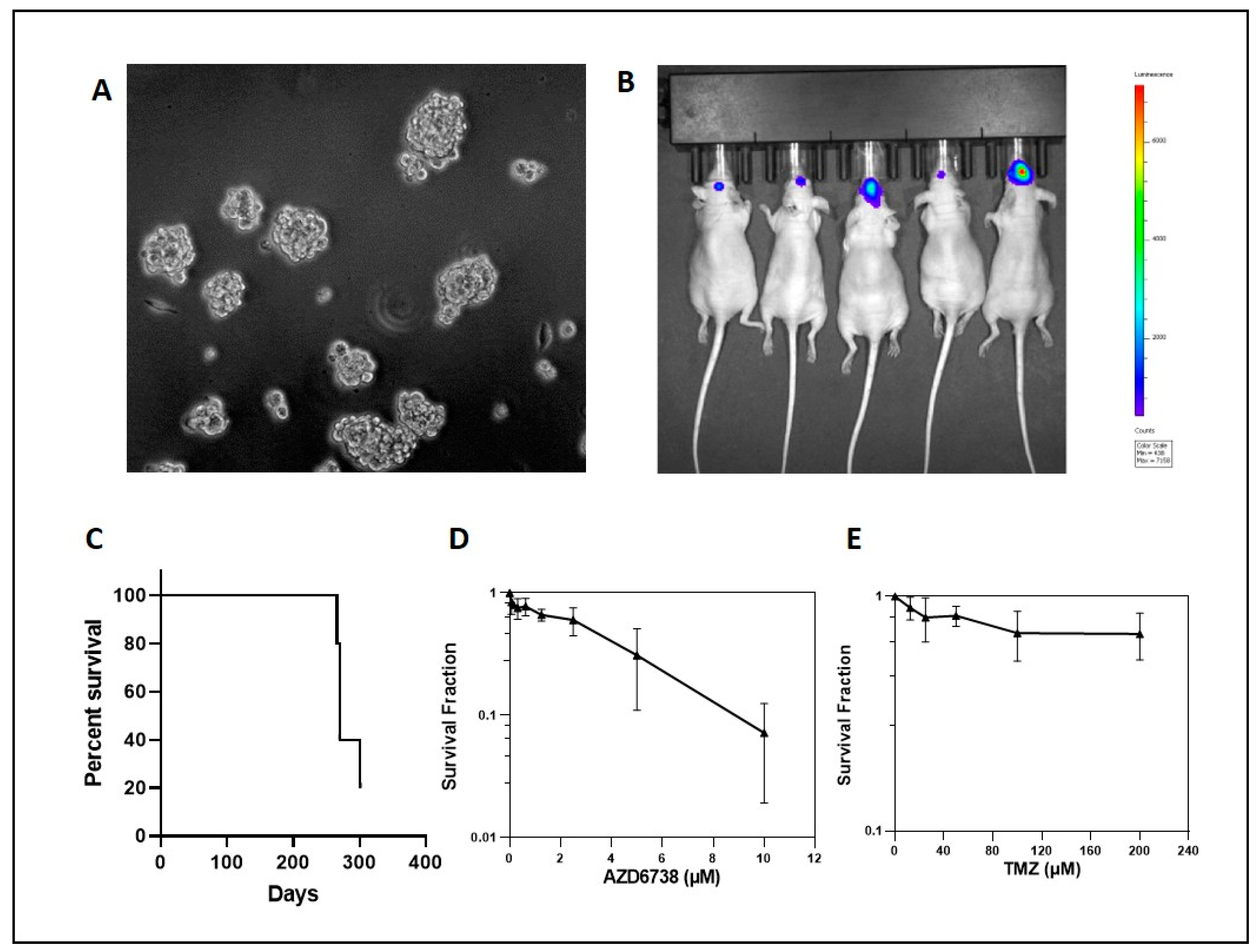 Cancers 14 03015 g006