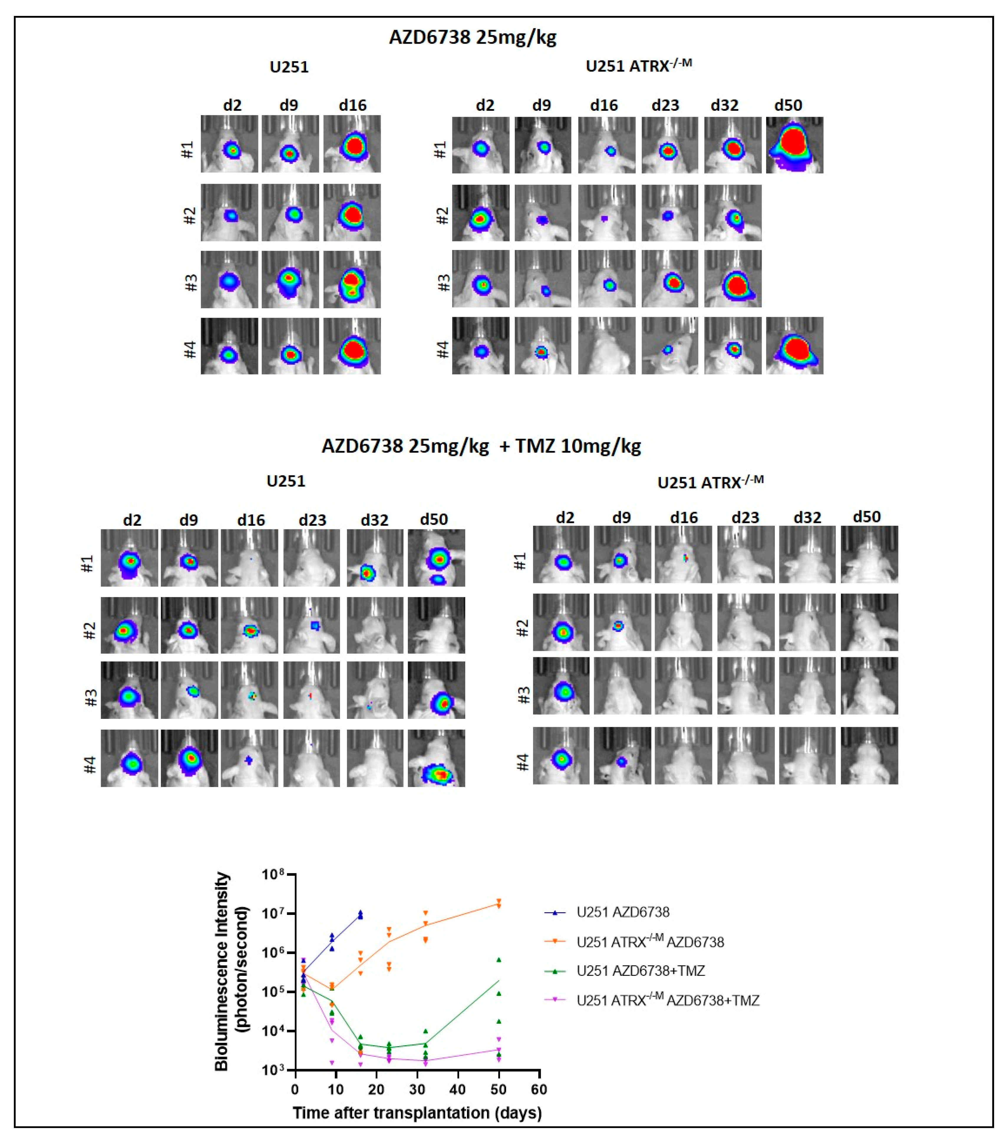 Cancers 14 03015 g008