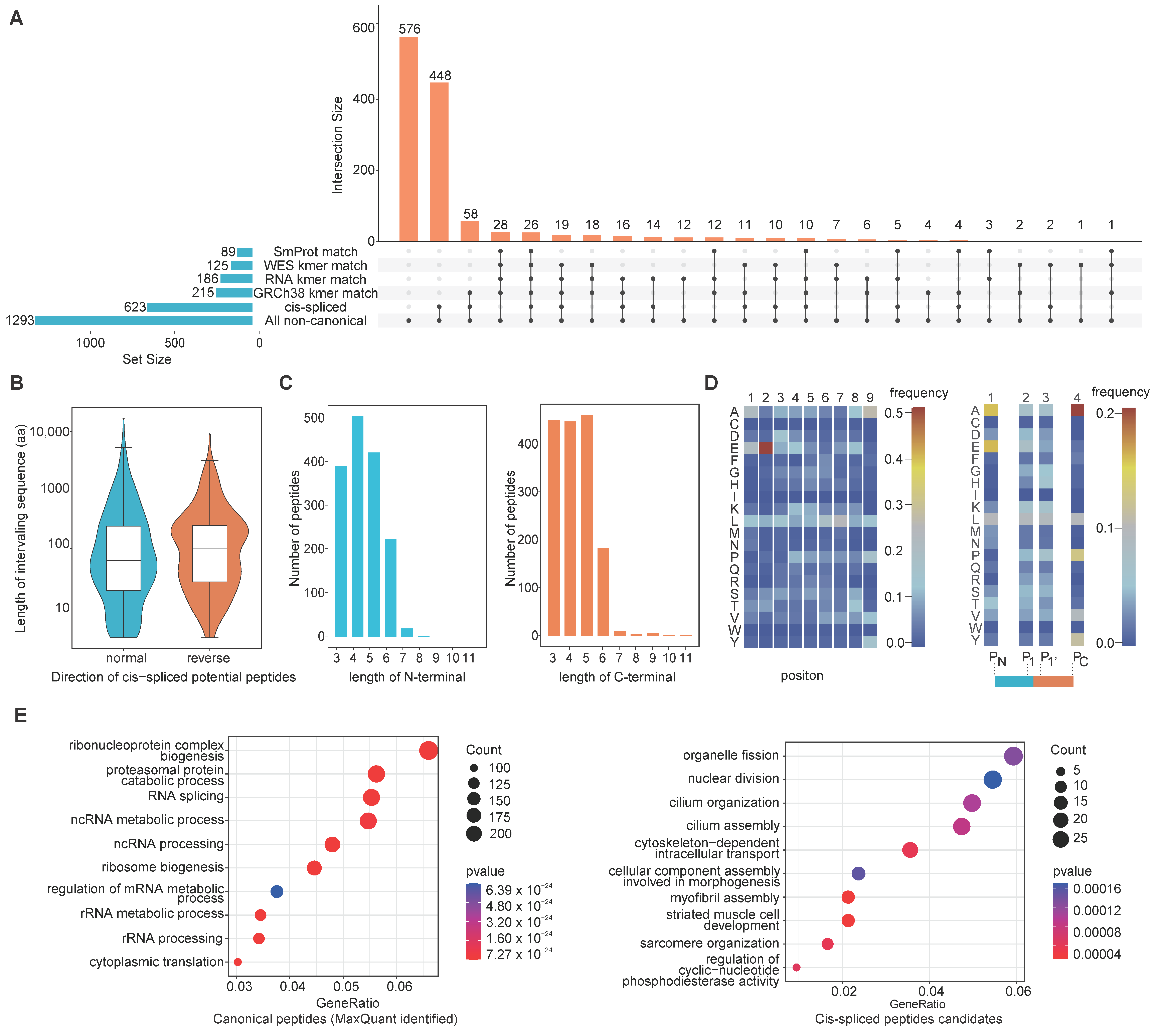 Cancers 14 03016 g004