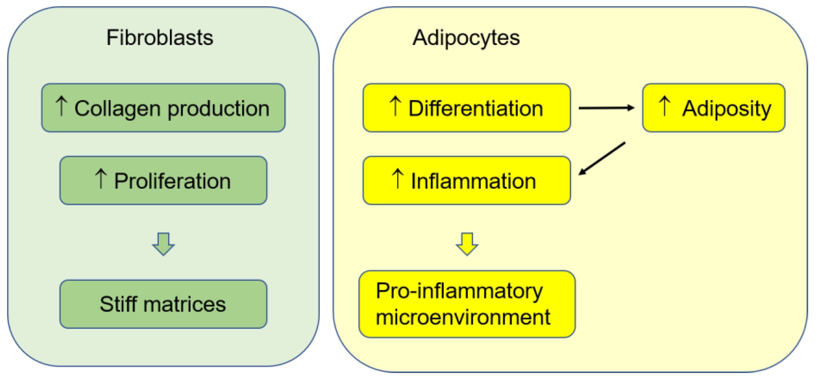 Cancers 14 03021 g001