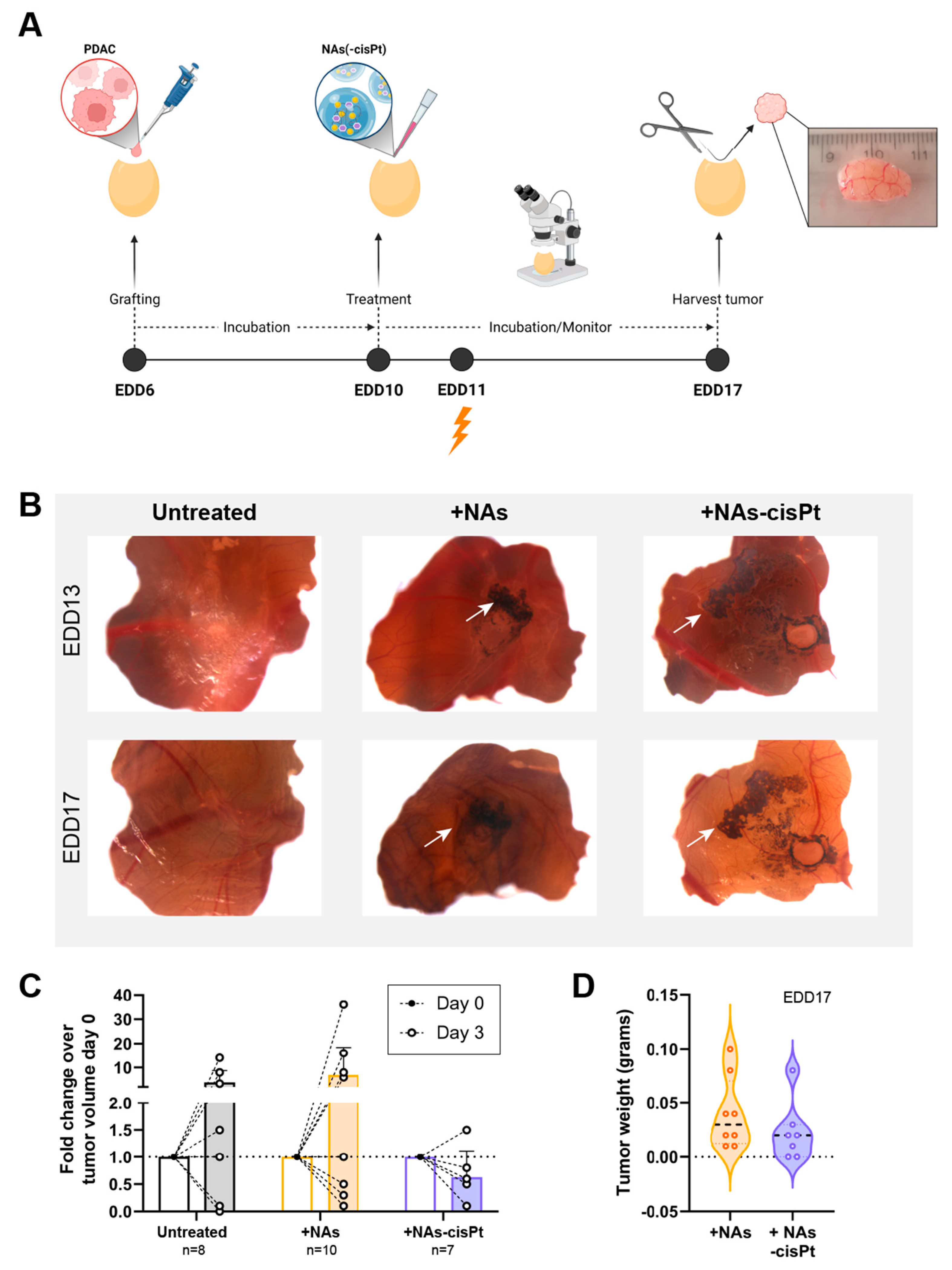 Cancers 14 03034 g004