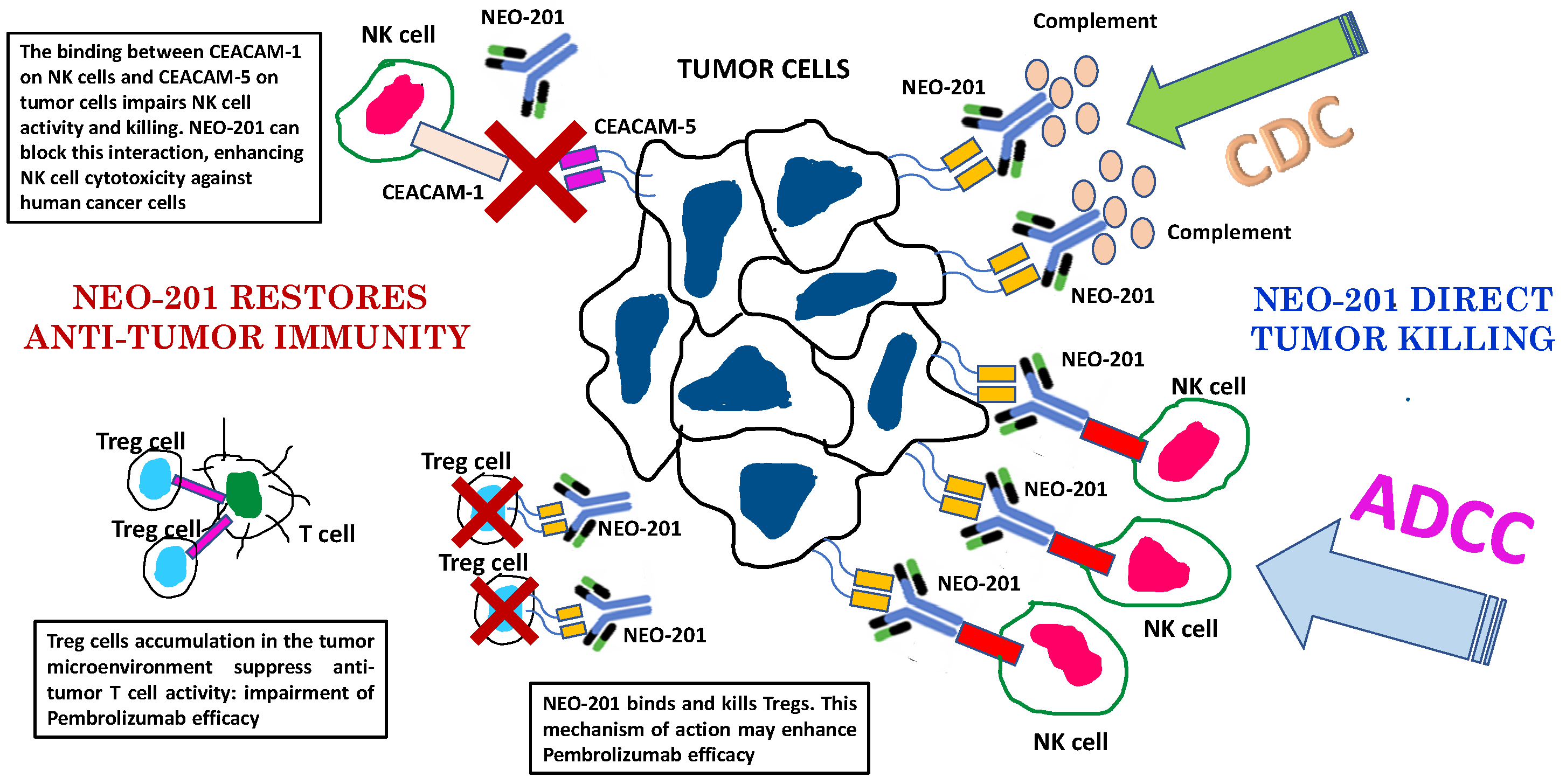 Cancers 14 03037 g004 Cancers 14 03037 g004