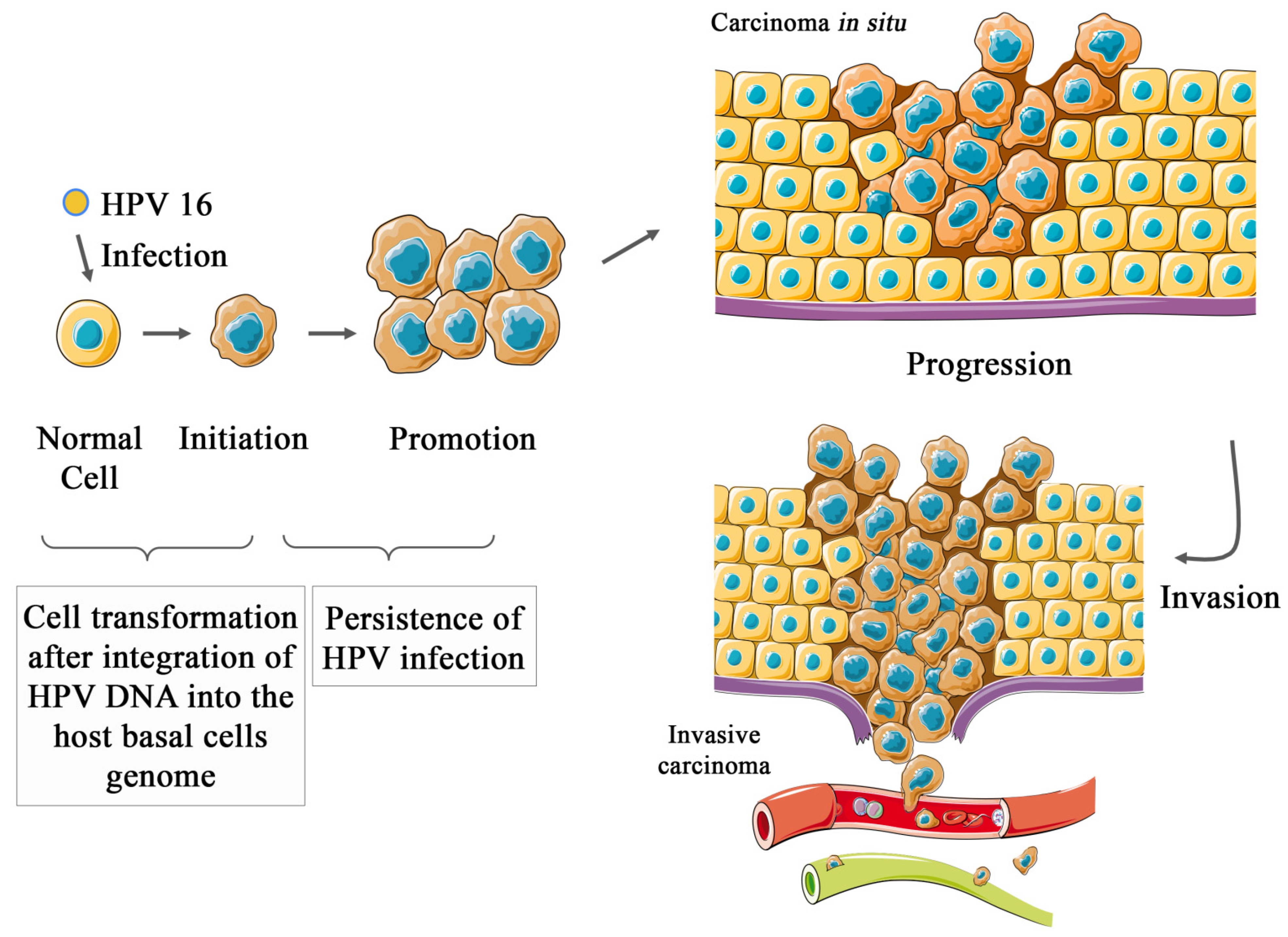 Cancers 14 03038 g001